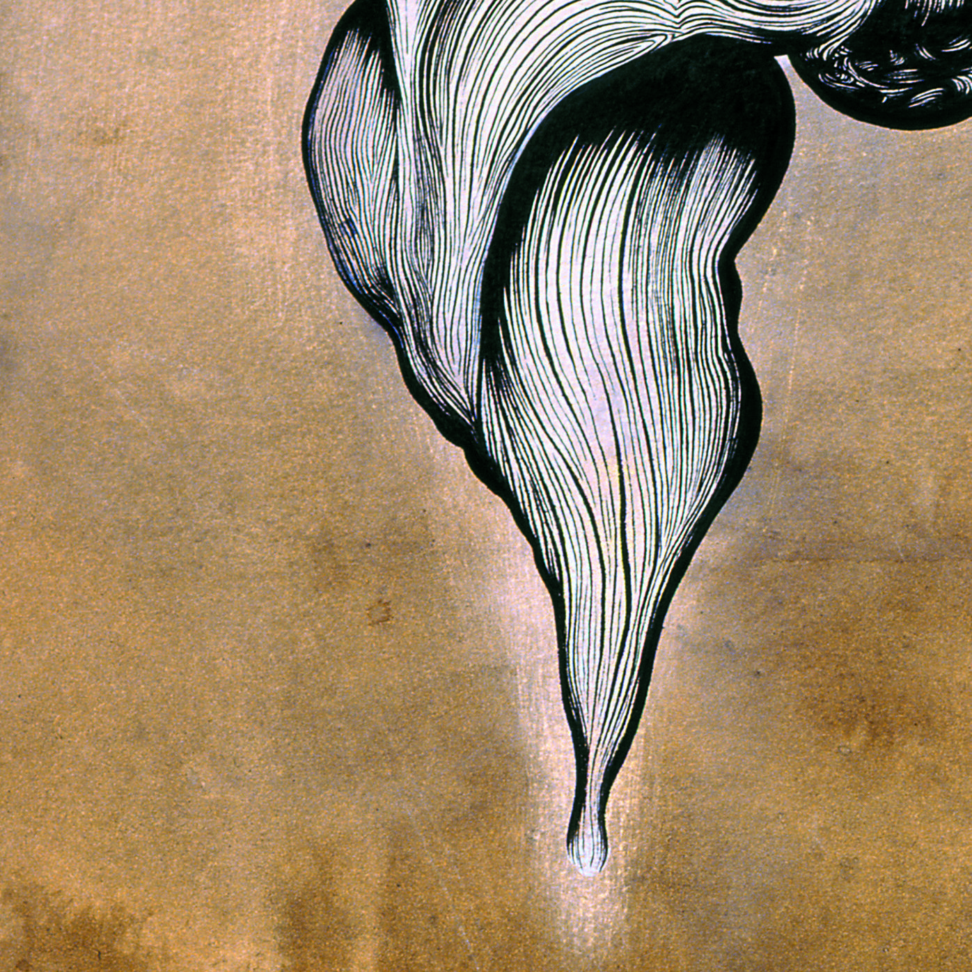 Plume high res detail.jpg