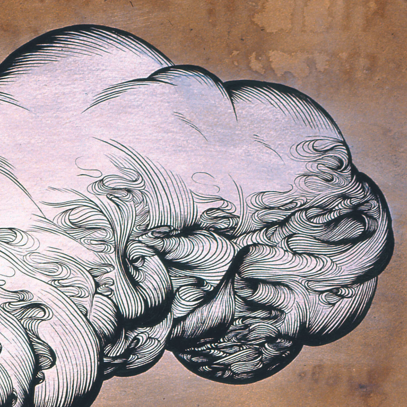 Plume high res detail 2.jpg