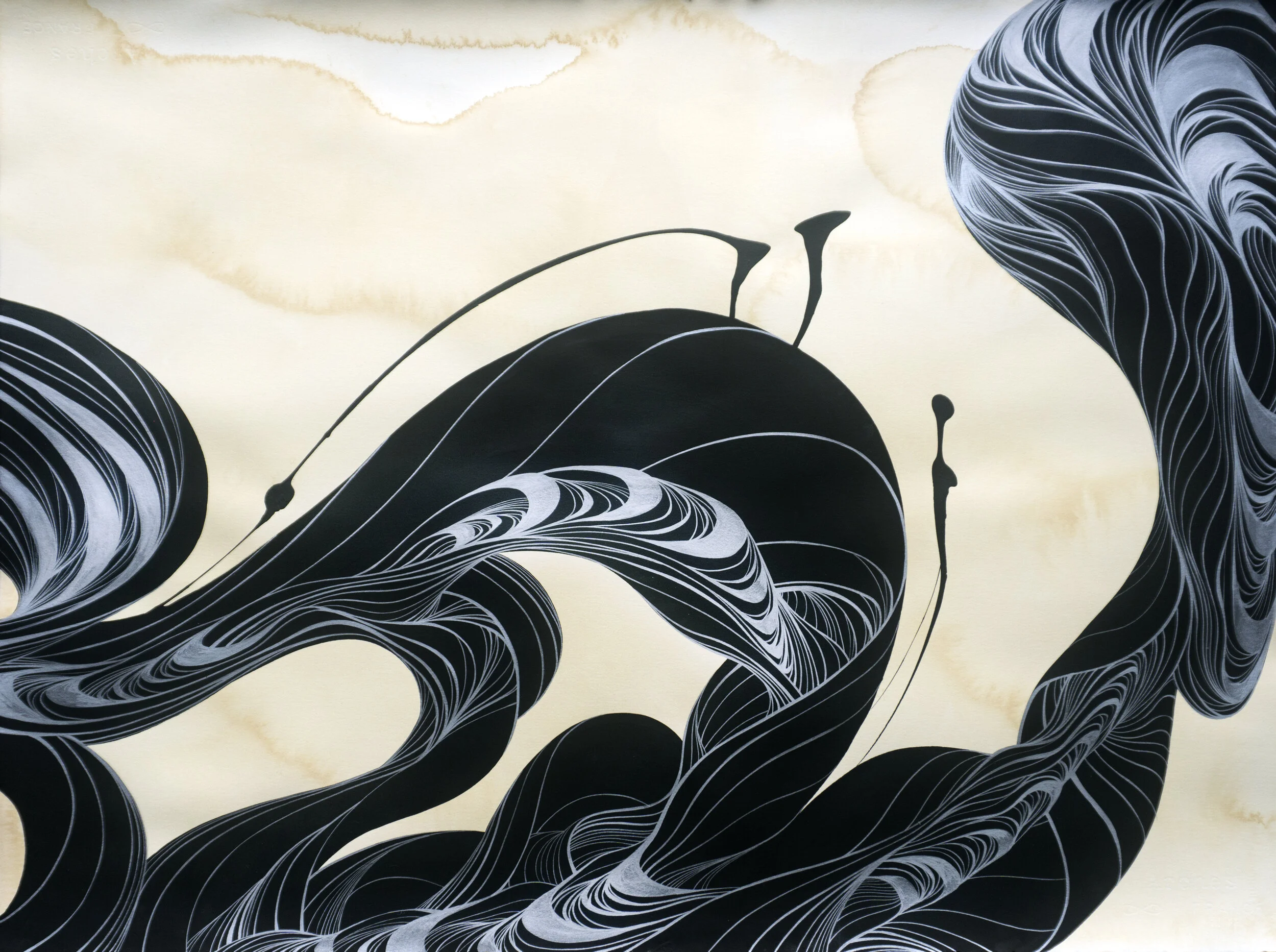 Flow gesso, silver enamel on tobacco stained paper30” X 22”, 2019