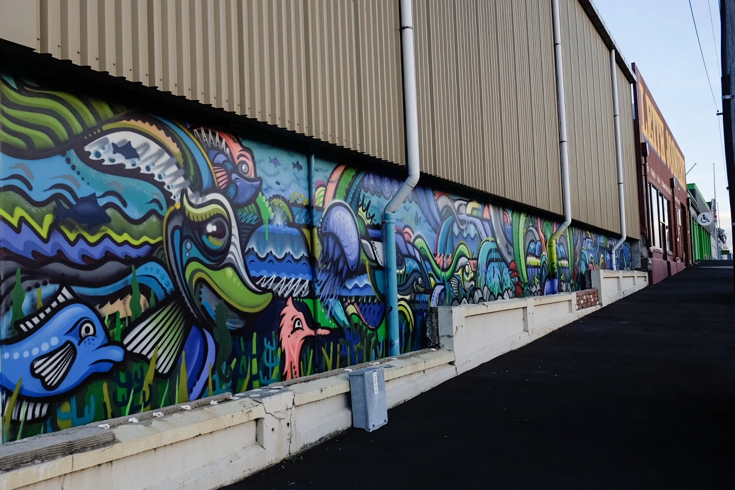 Sean Duffell - Roberts Street.