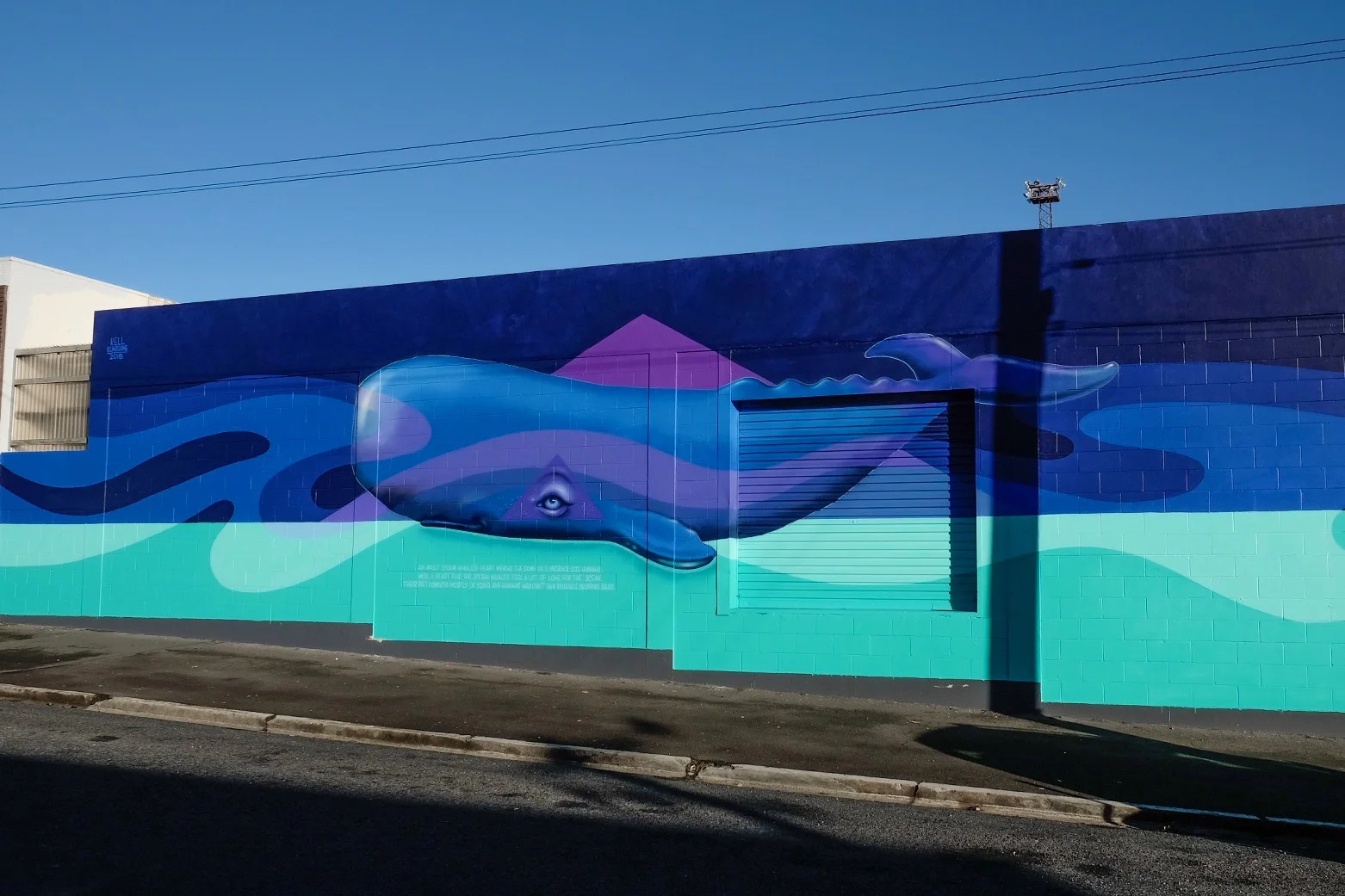 Kelly Spencer - Roberts Street
