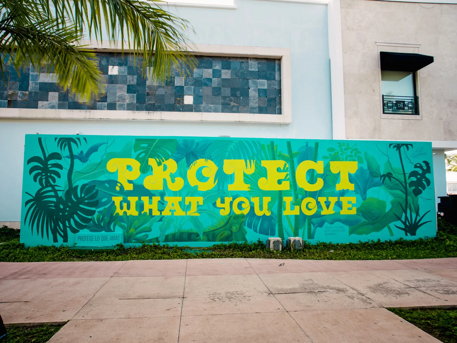 mural by kell sunshine artist new zealand in cozumel mexico for sea walls artists for oceans