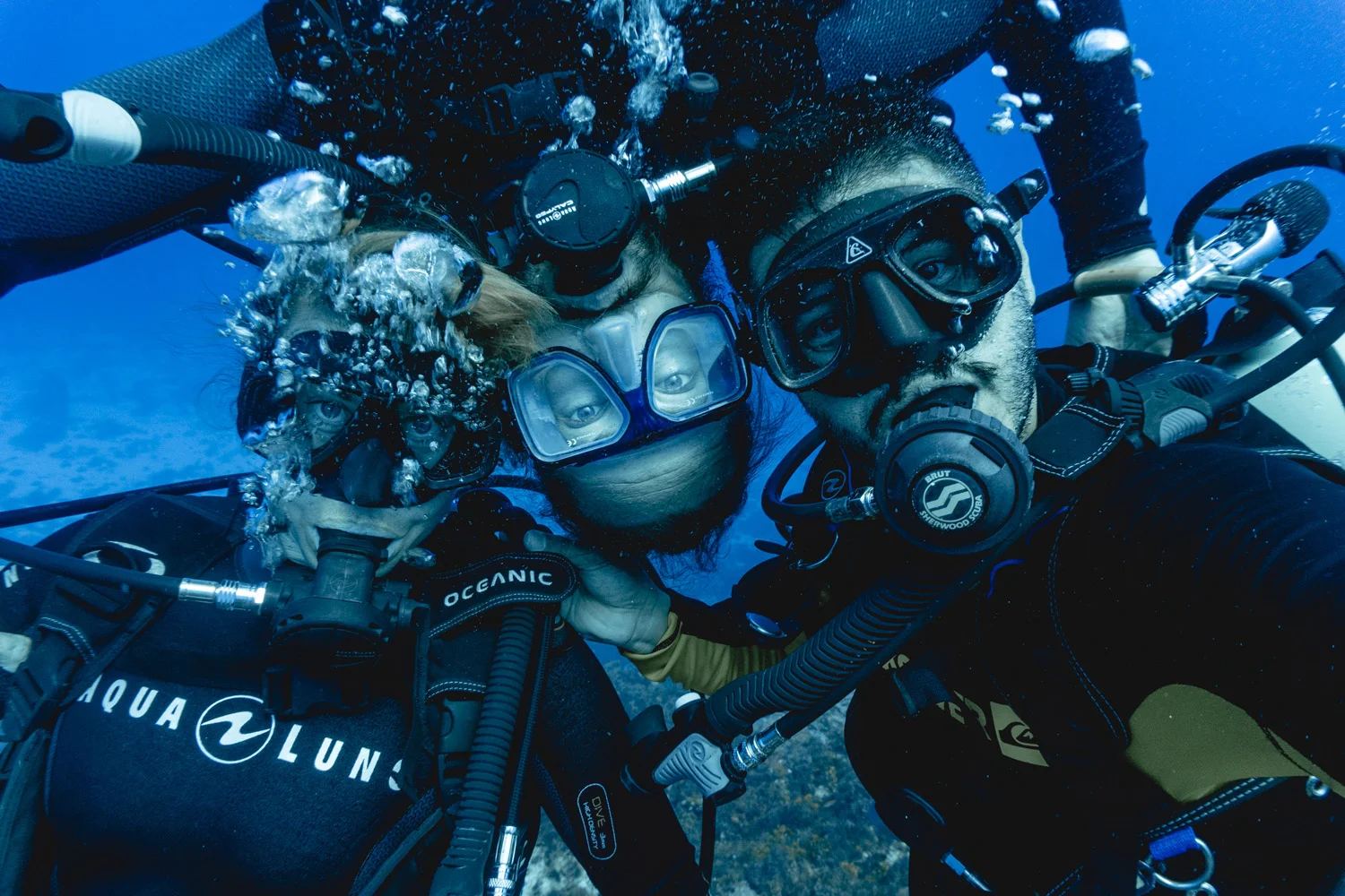 Bajo el mar-00166.jpg