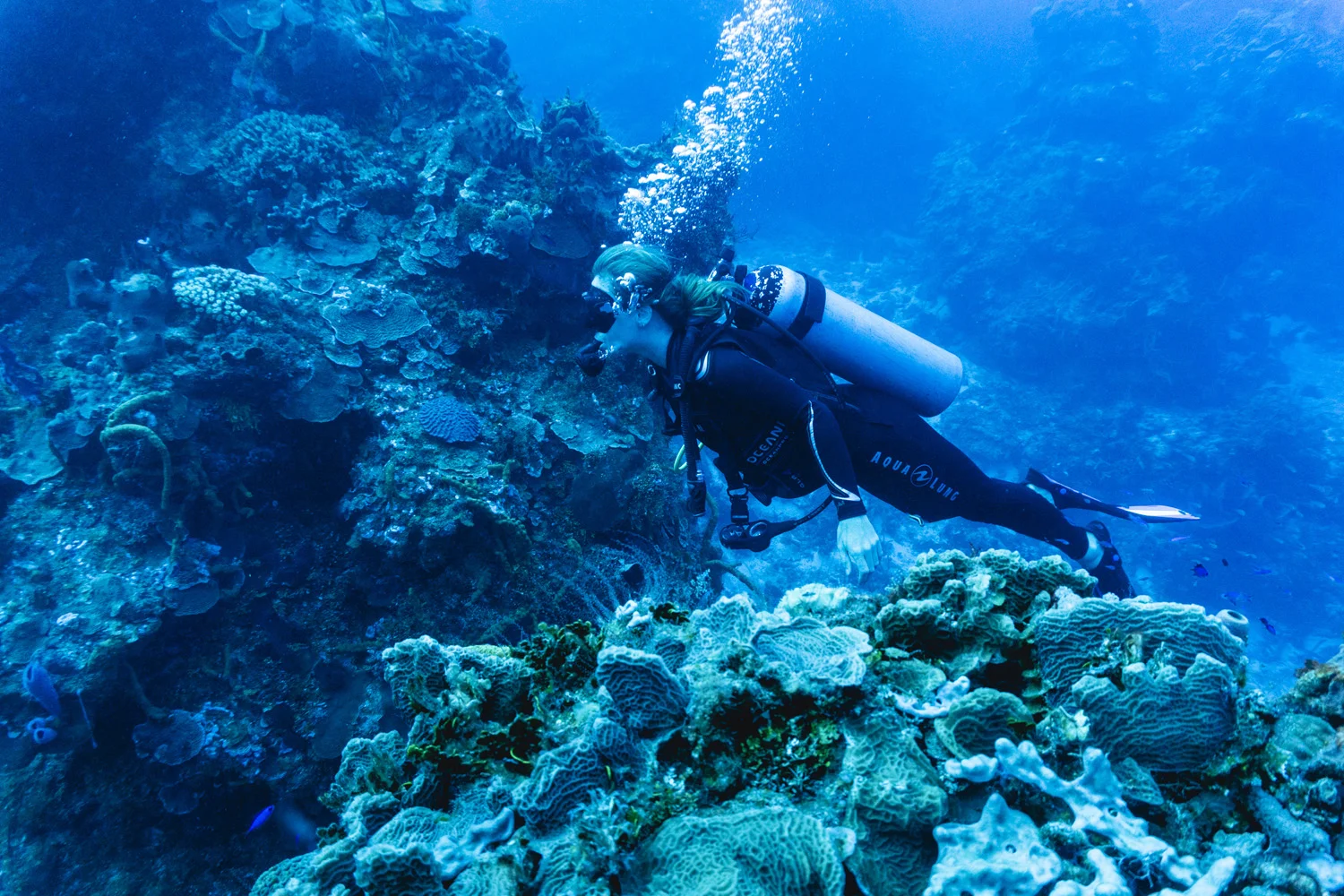 Bajo el mar-00060.jpg