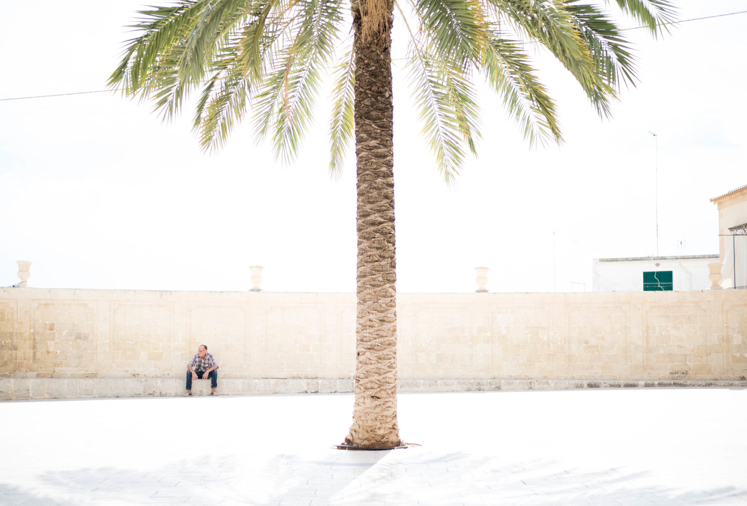 2015_09_25 noto_sicilia_italia palm man V3.jpg