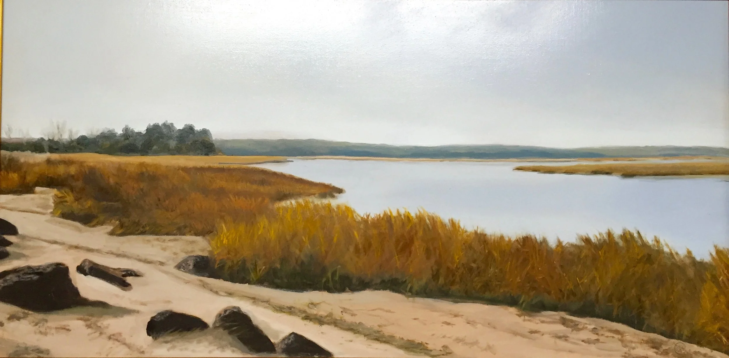 cedarbeach 15x30$ 3000 copy.jpg