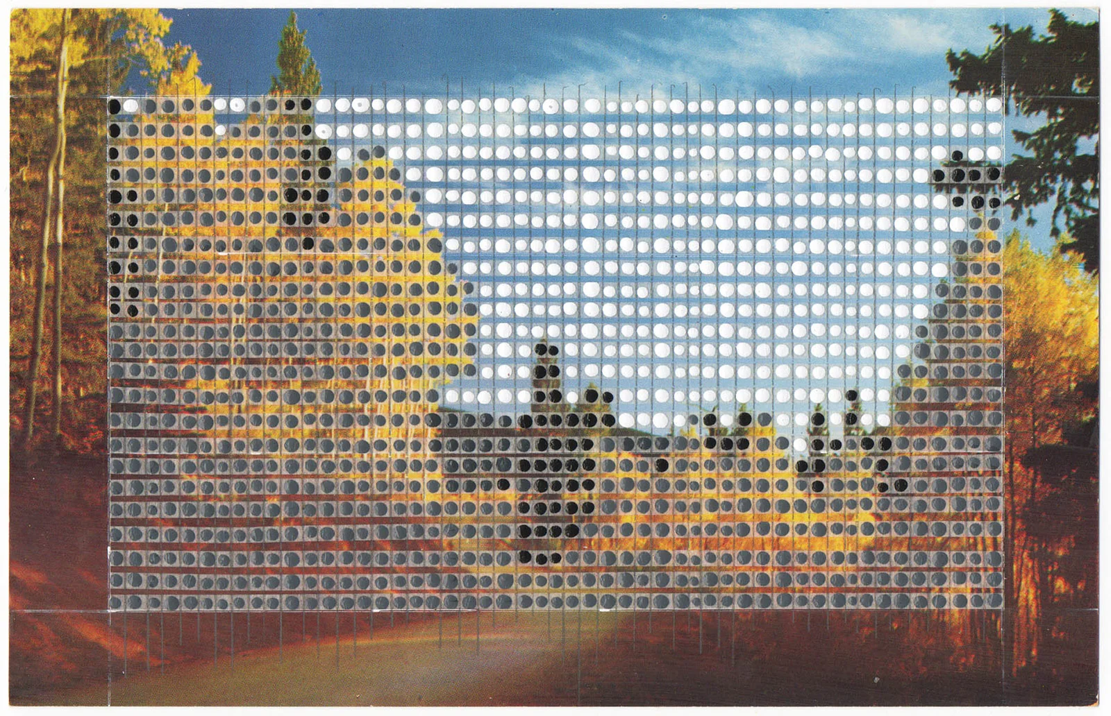 Borrowed Landscapes Study No.3/New Mexico, Aspens