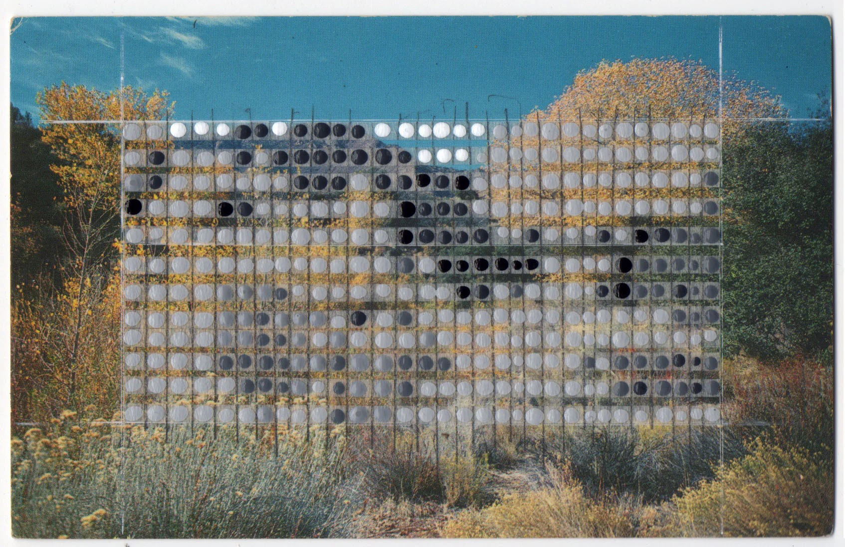 Borrowed Landscapes Study No.41/ Western Desert