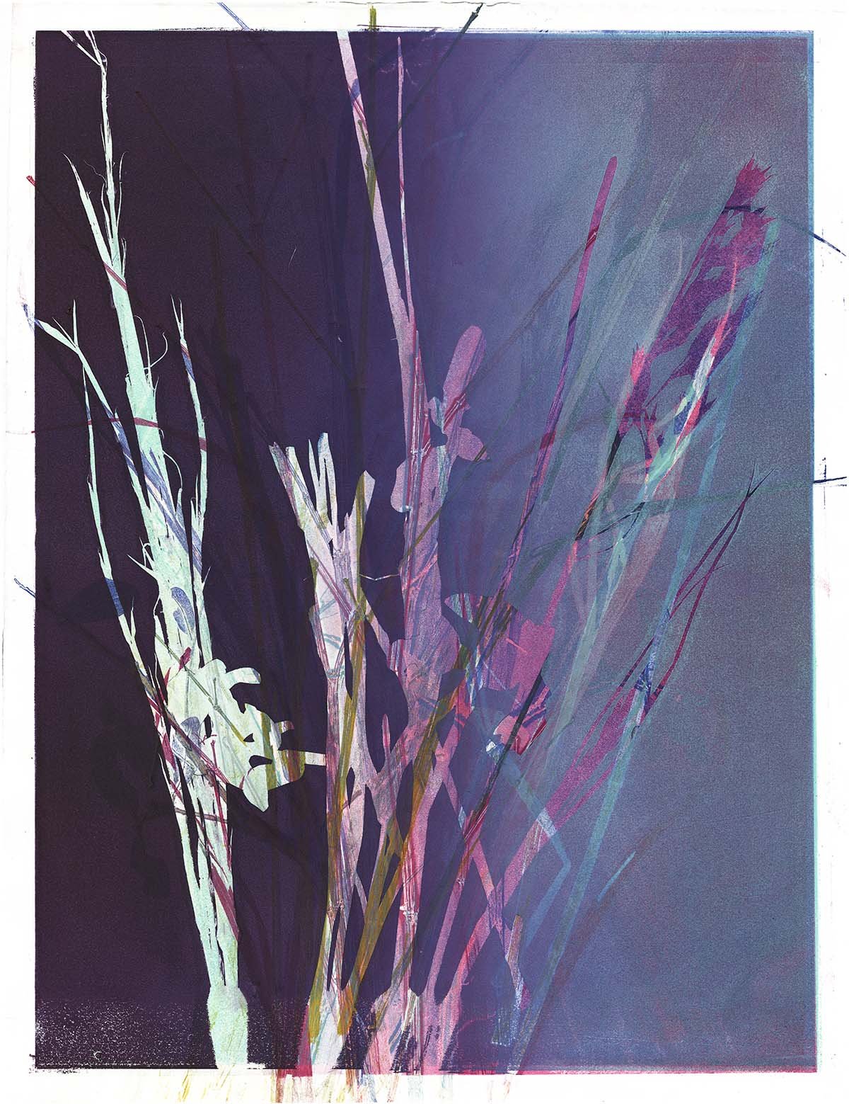 Terni, Govalle 8/Bamboo, Oak + Grass/ Monotype