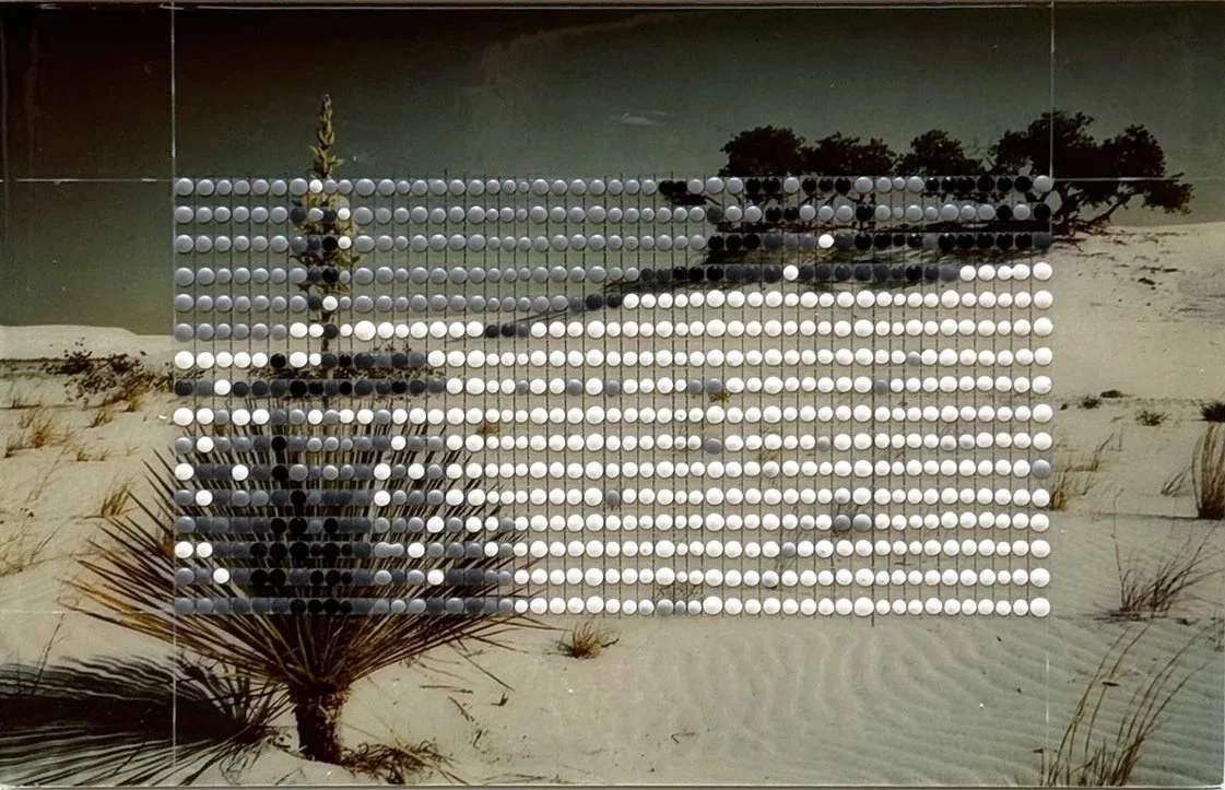 Borrowed Landscape Study No.213/Yucca in Bloom, White Sands National Monument NM