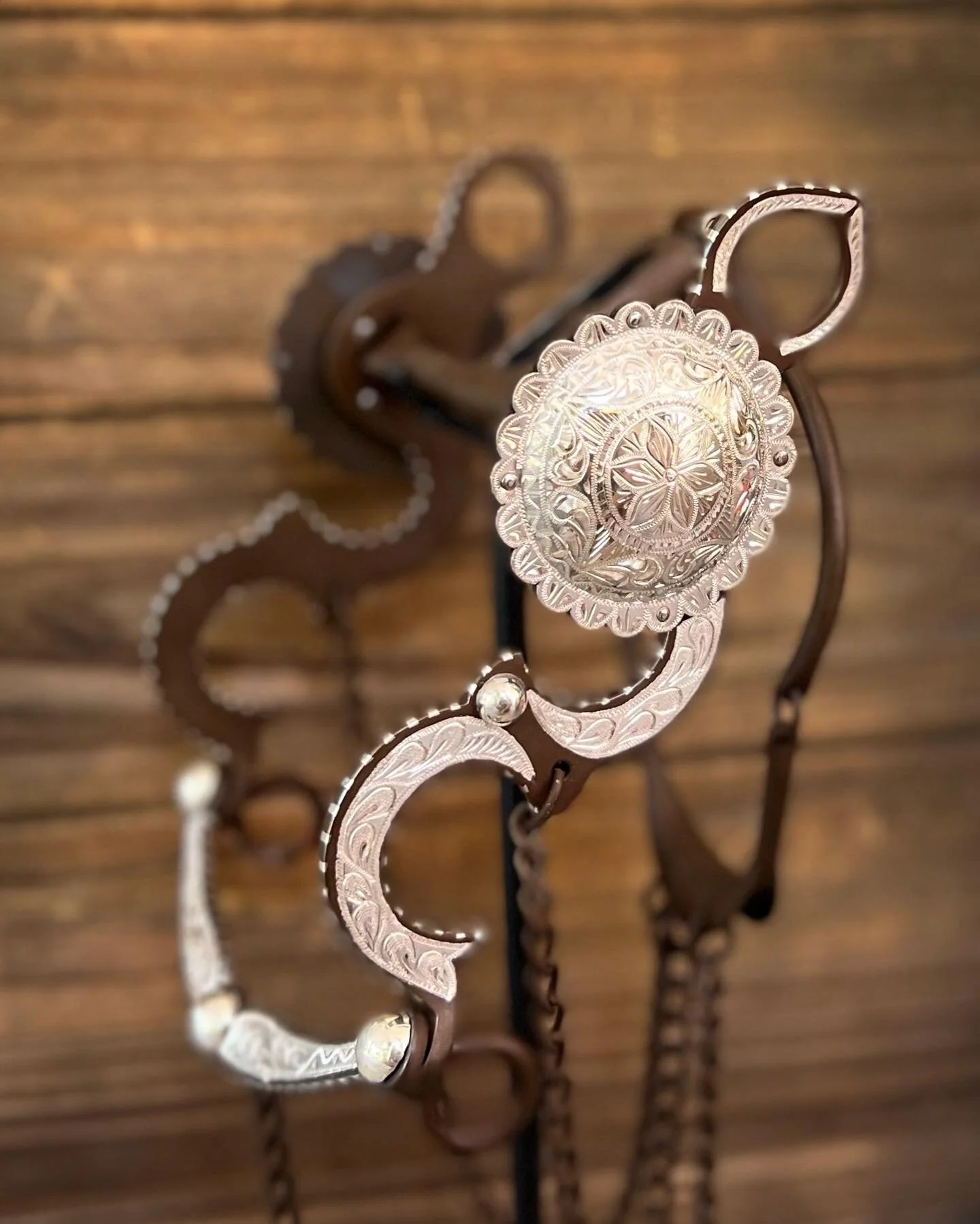 Jesús Tapia-style silver concho ring bit