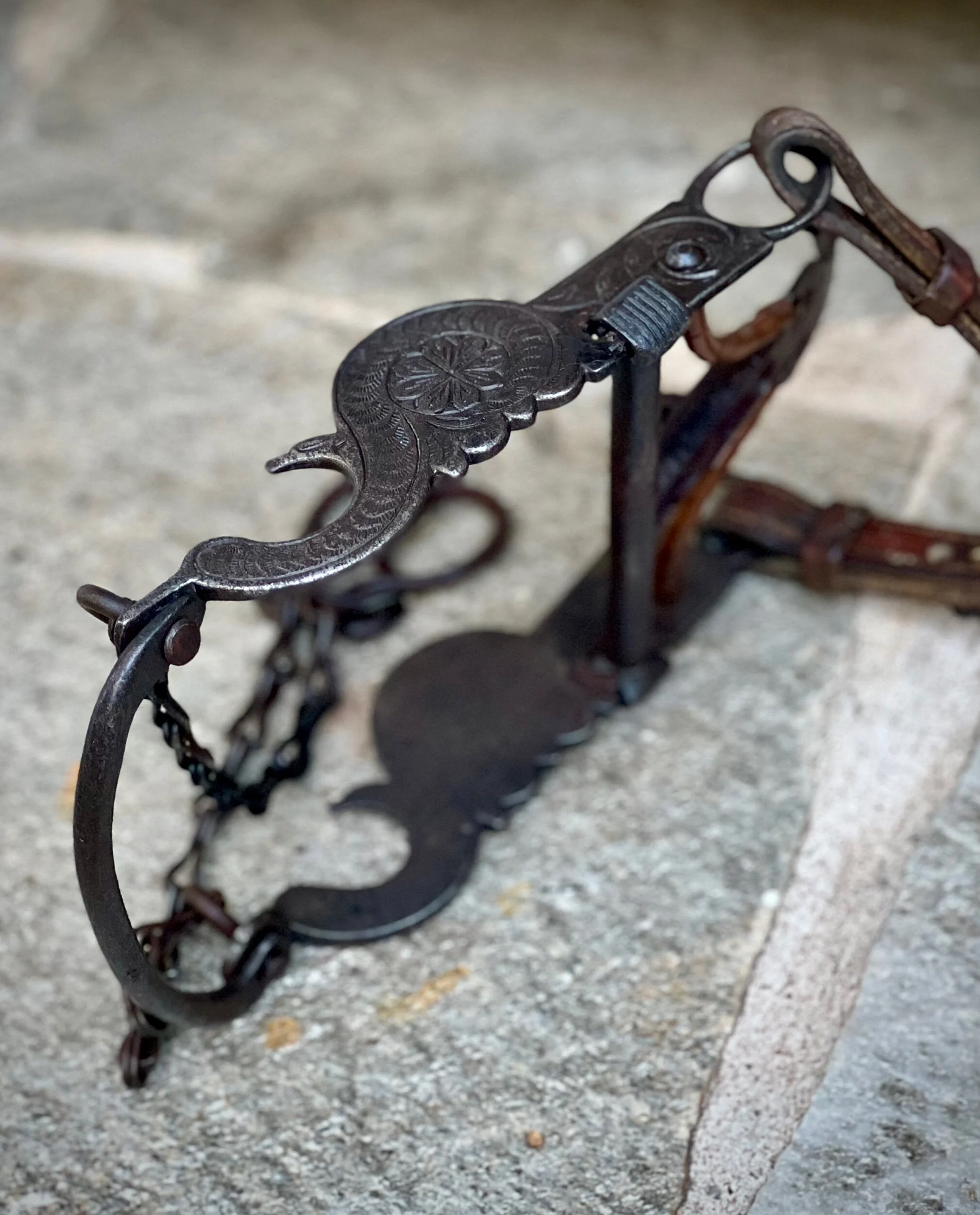 F29C8374-D280-4464-B681-97275B6368D1