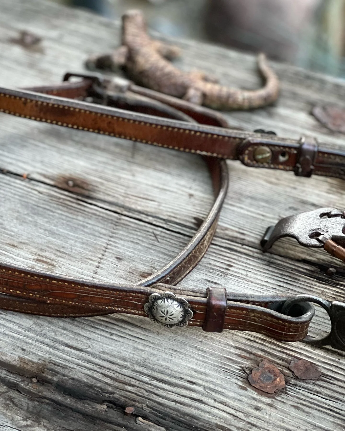 E40AA229-1C40-4CF7-A88E-788275B83044