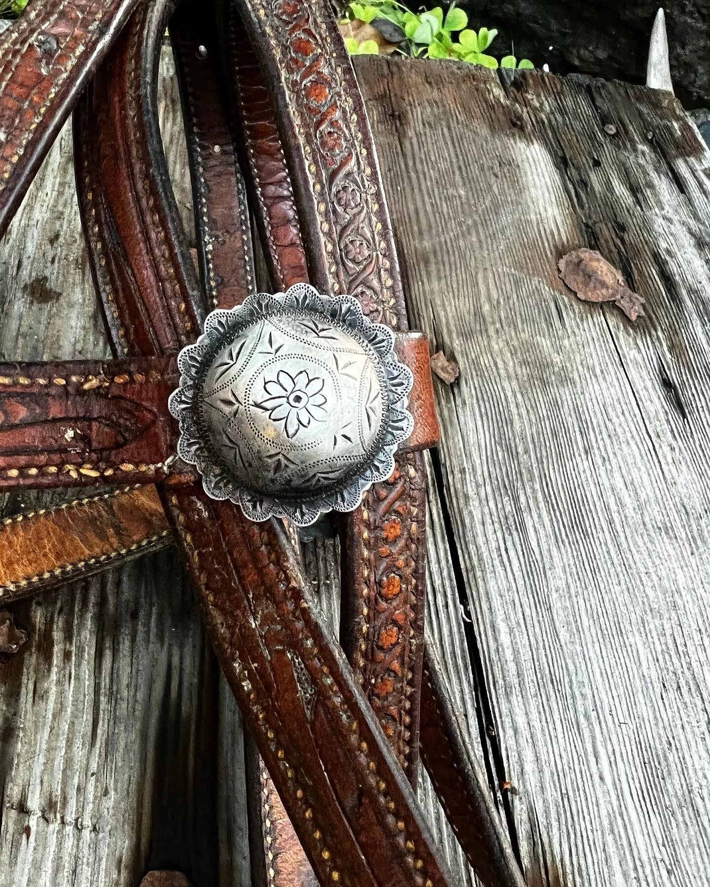 9E800CBA-FA64-43DB-9980-C33120E25759