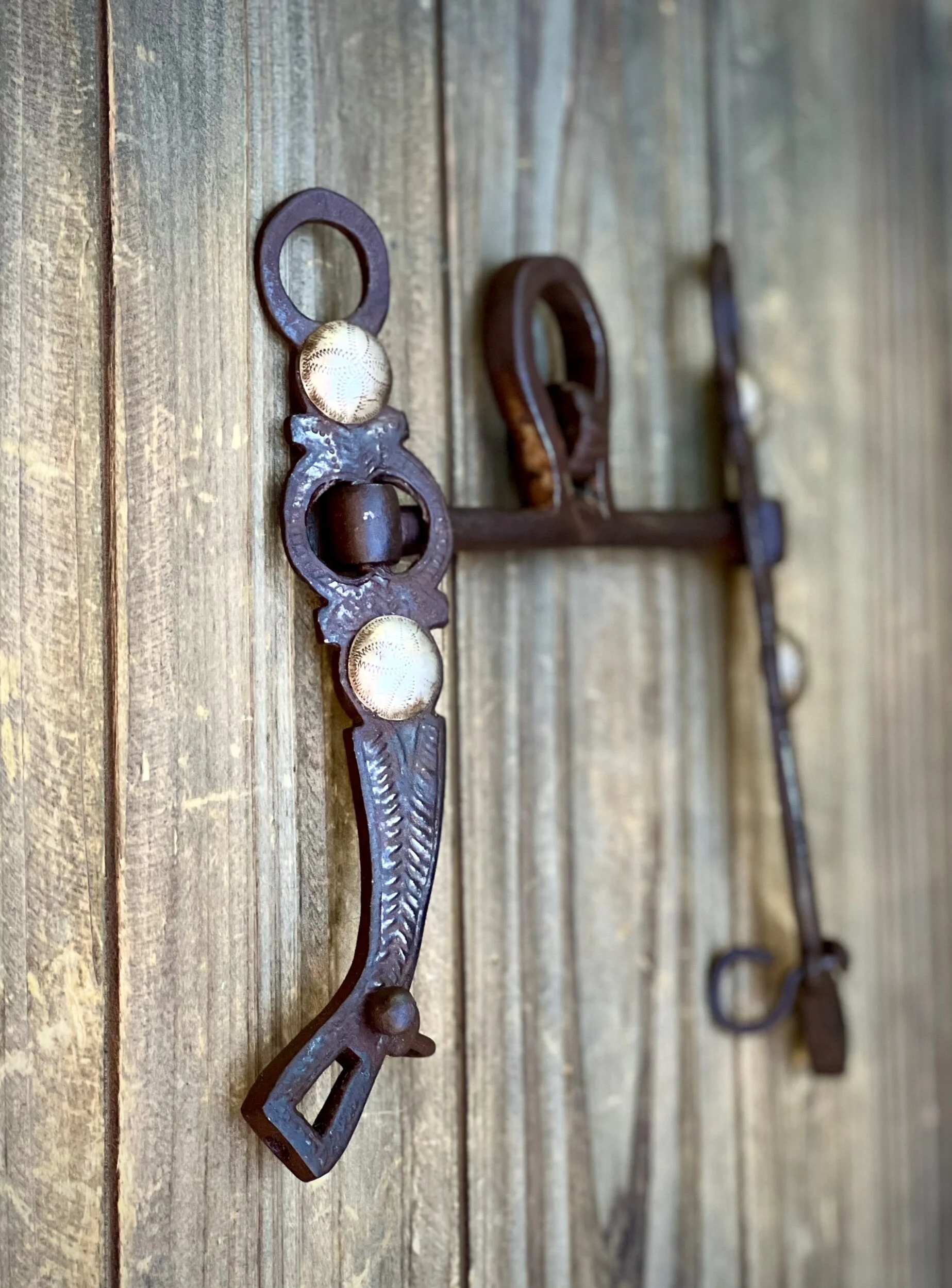 85AFEE26-1C95-4FDA-9321-D417B9D4504A