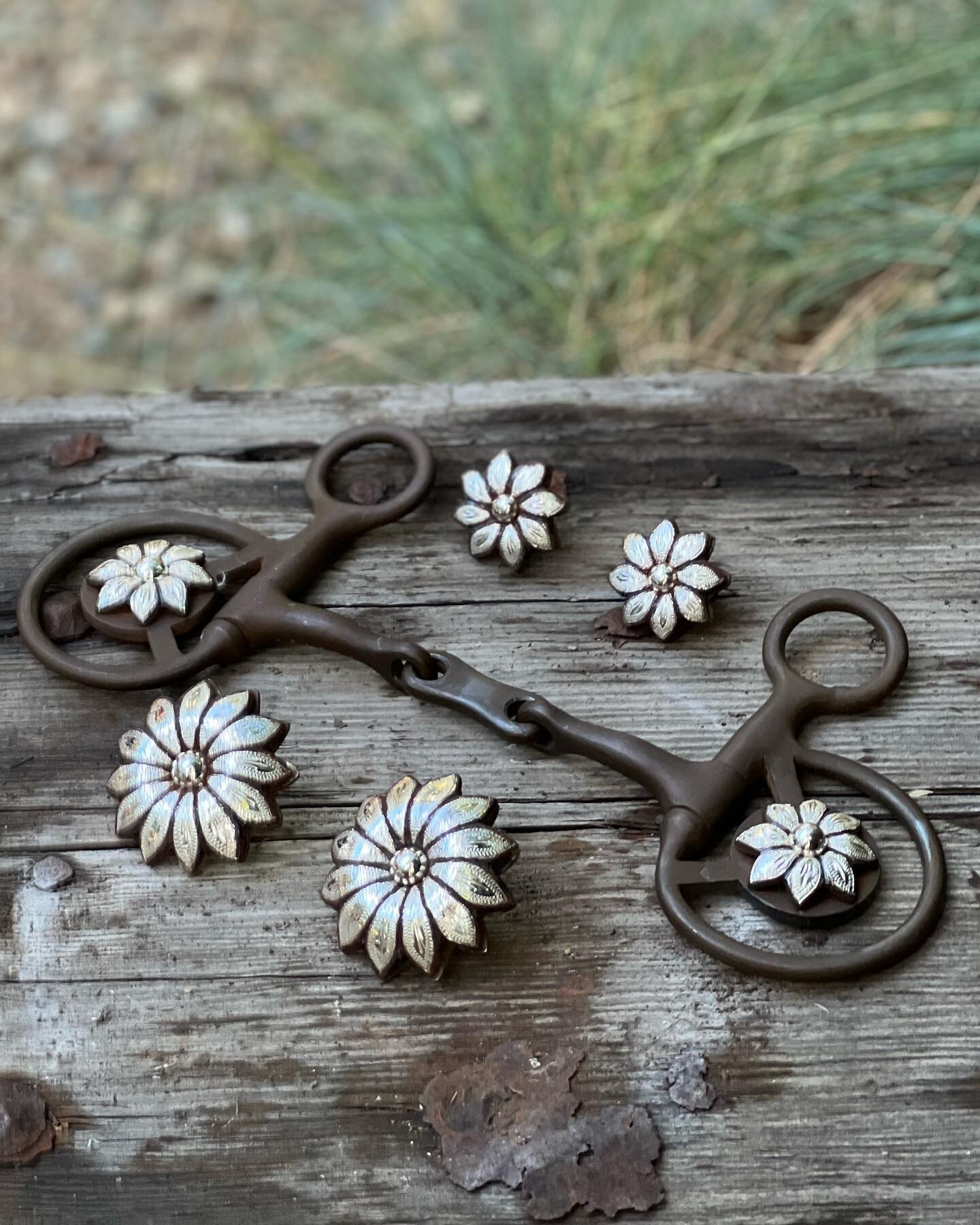 Something a little different, a custom English bit from The Old Spanish Trading Co.  This one is a hanging/Baucher snaffle and matching cactus flower concho saddle screws we just did for @brassybittack