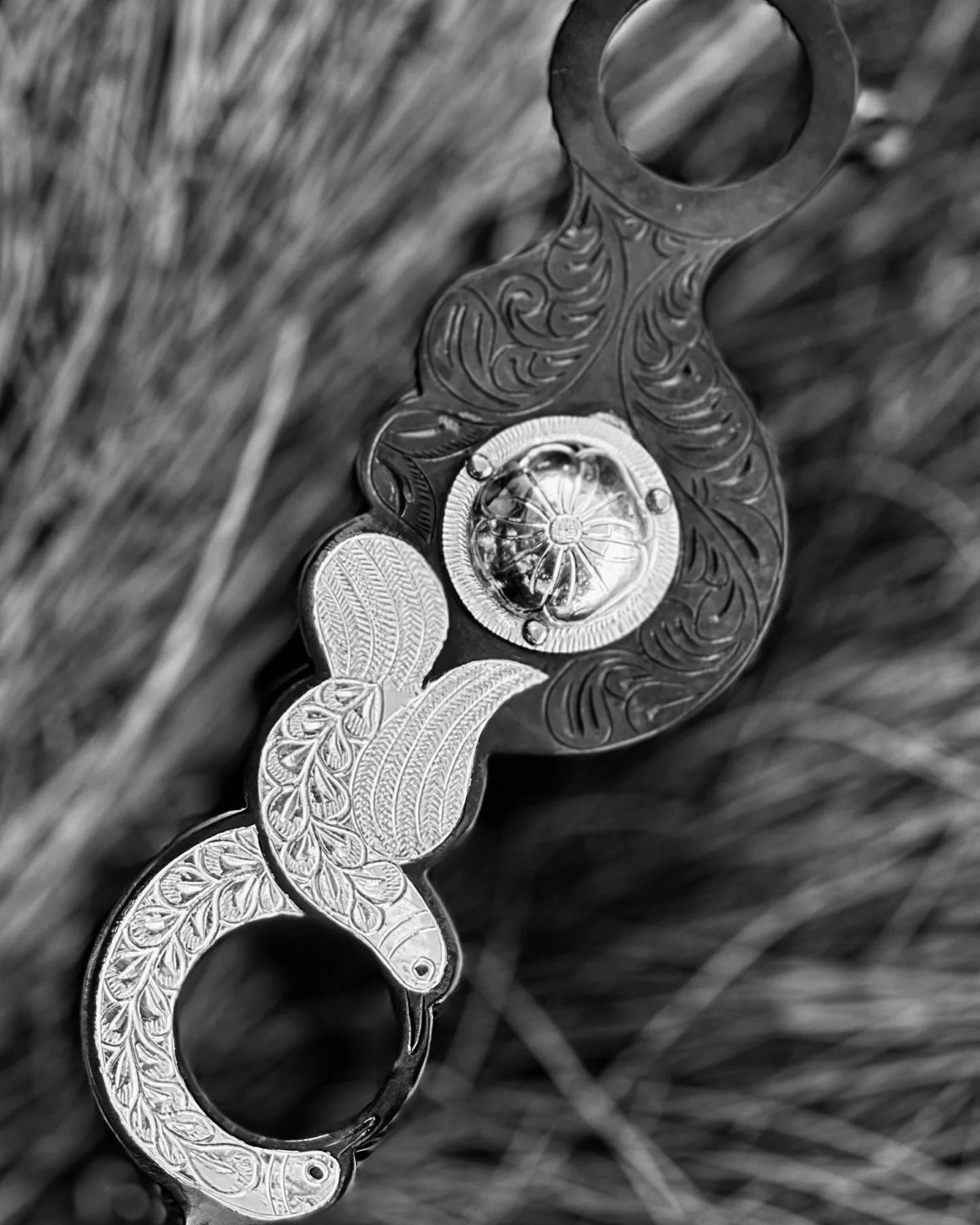 A53935FE-23F6-45F2-8F77-3B88D36F545B