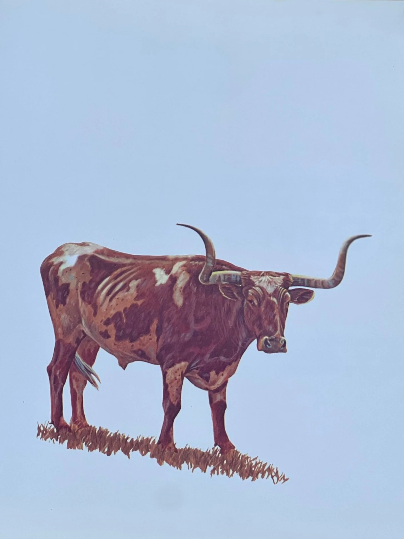 D8BE8343-C4E1-4976-AA9B-93846EDE07F0