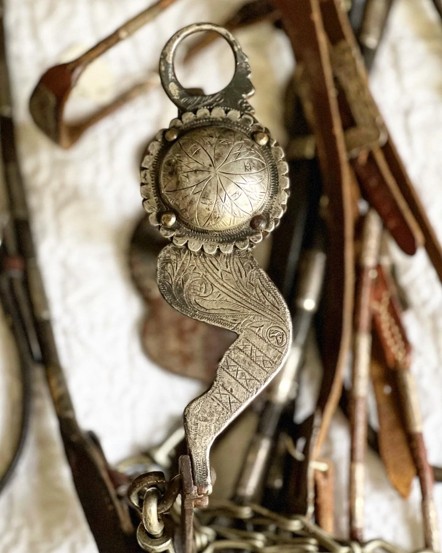 74D10D26-E830-4542-9C7A-3CEA9A4FC5E3