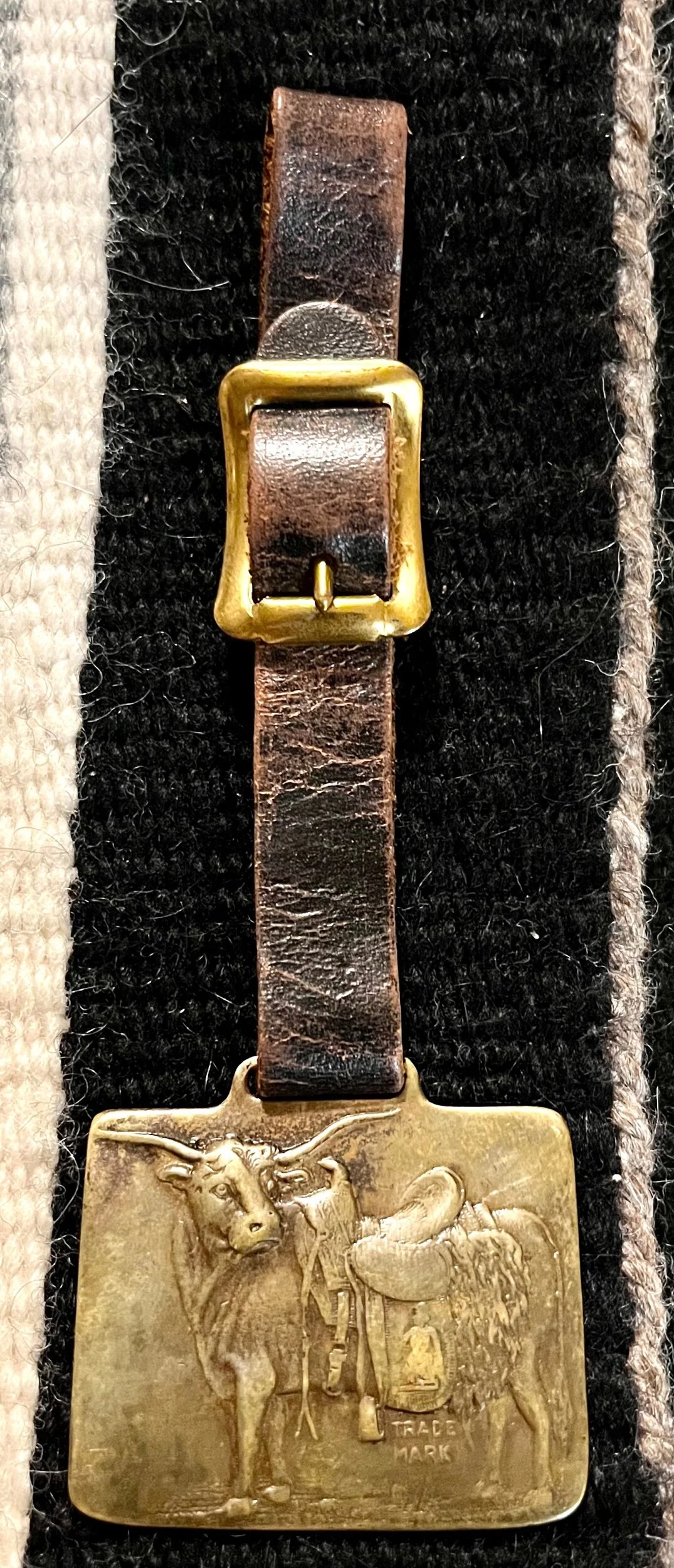 73B7A877-58A9-4253-BD5C-34D382A5D8DD