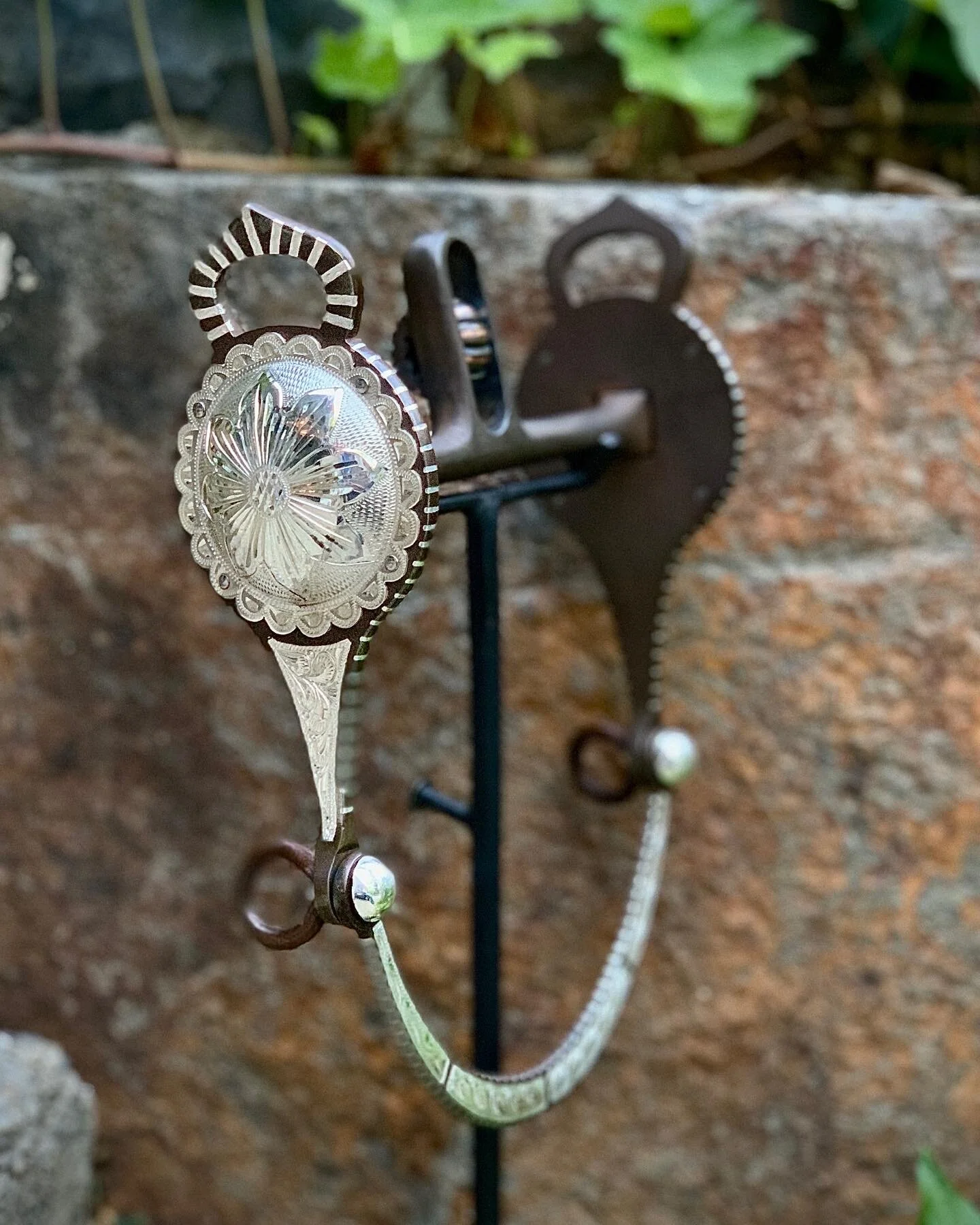 Short shank Big Concho Las Cruces bit