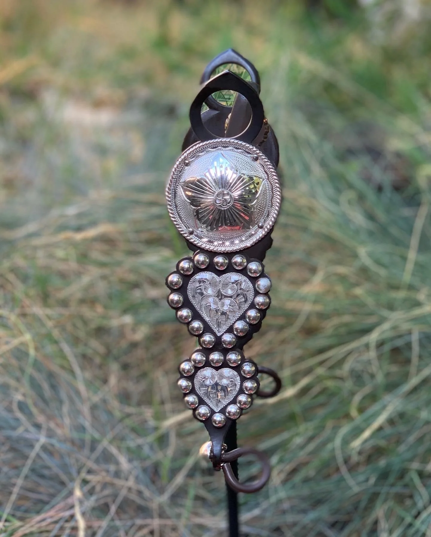 CC1D9553-5F47-46A8-B21C-E0DD04FBA5DF