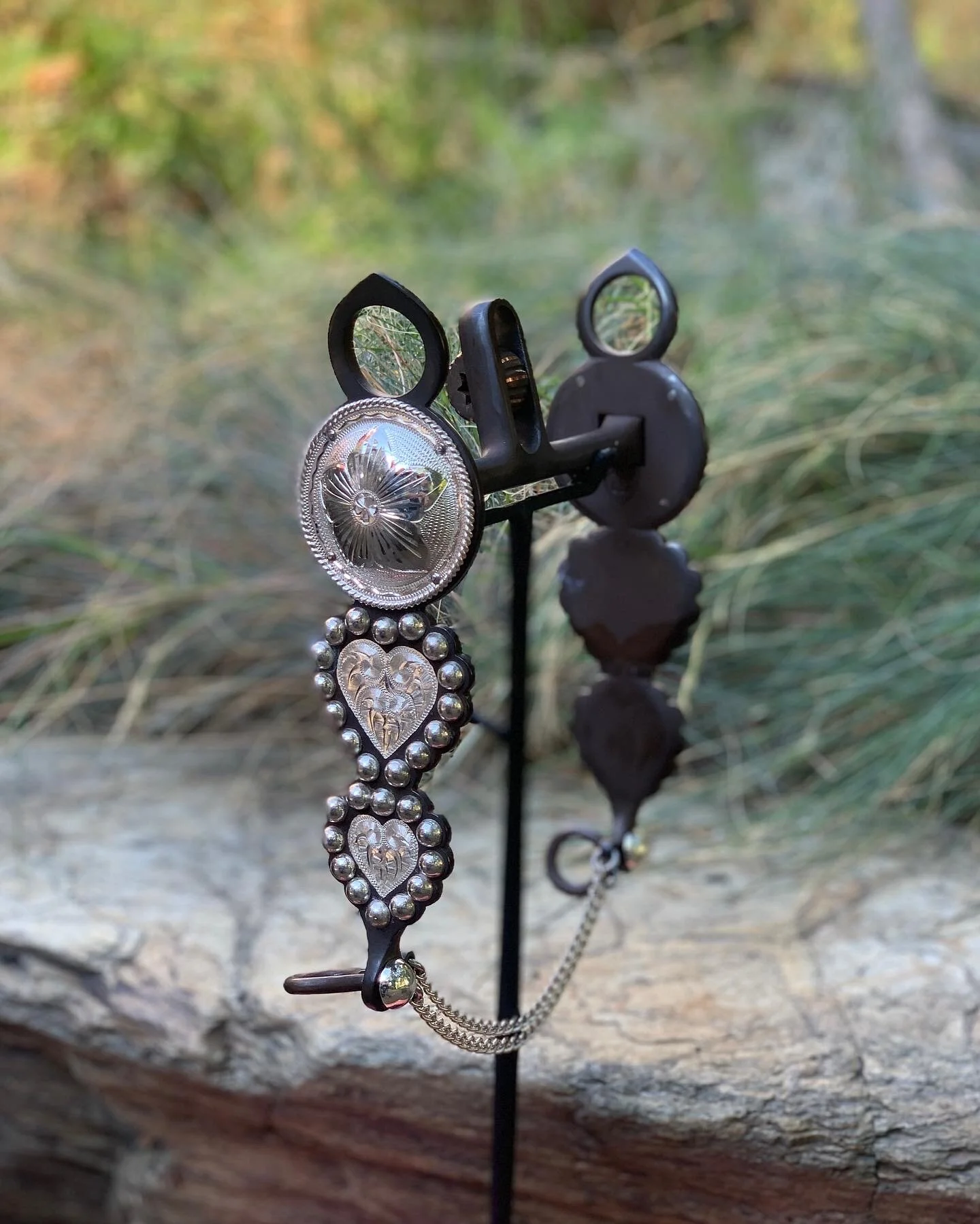 AE1A42CC-51AE-492D-9BB8-92F16F2F0168