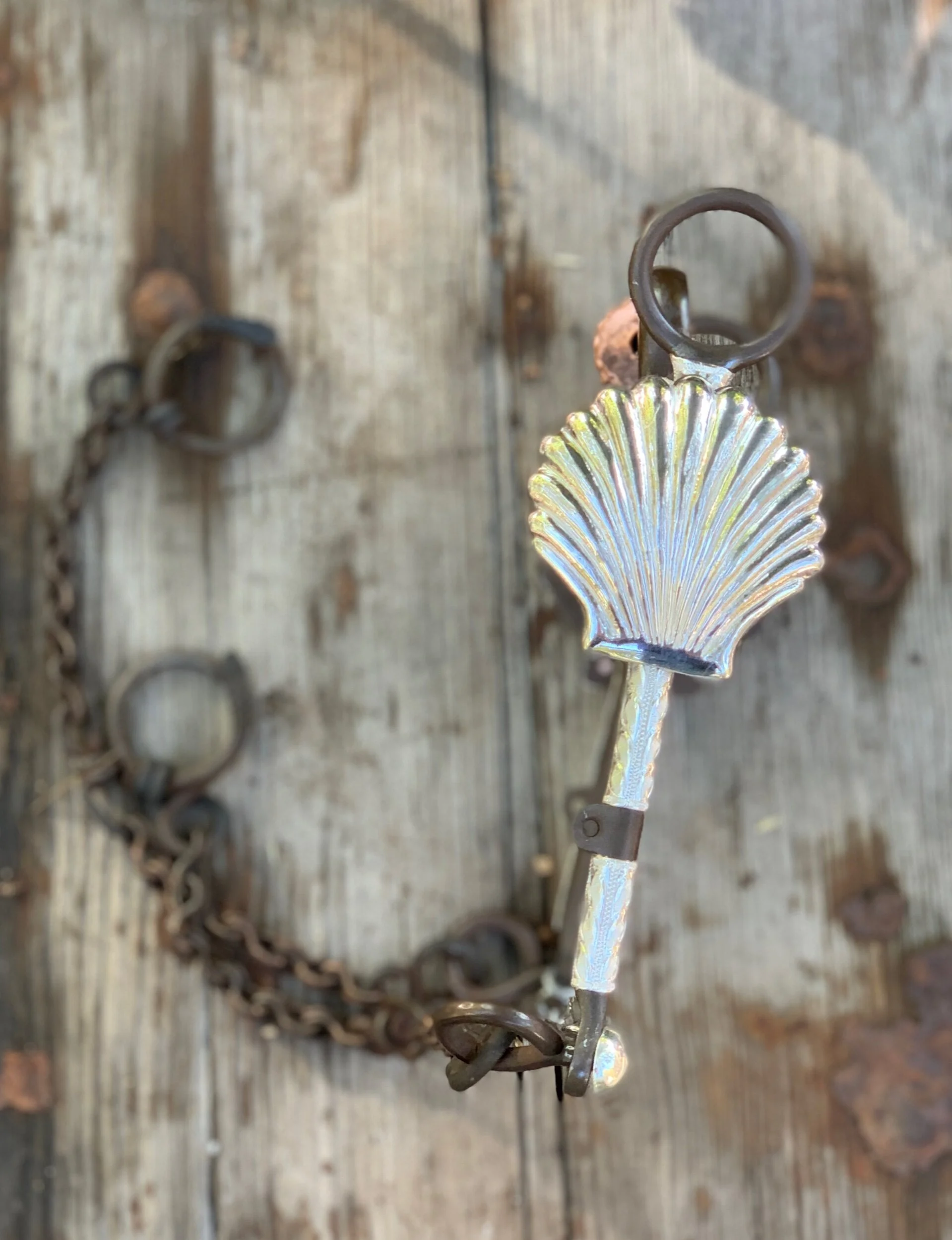 B2C18C11-EFD2-4448-82EB-38F4F7B60F5E