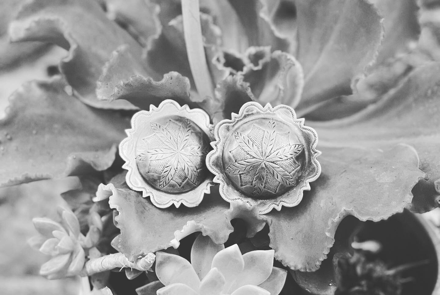 1405D973-8999-44ED-A403-799E88AC7BE7