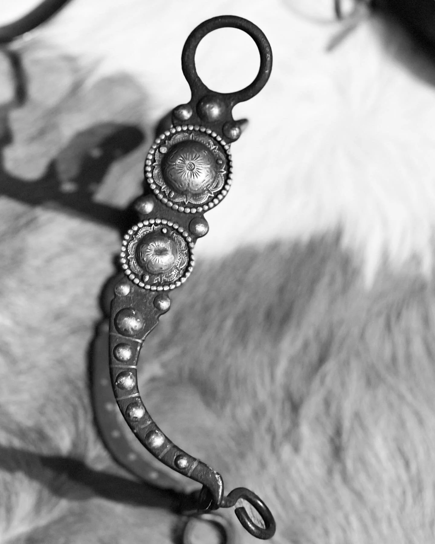 21A925DE-2327-4304-A699-AF39587D72D6