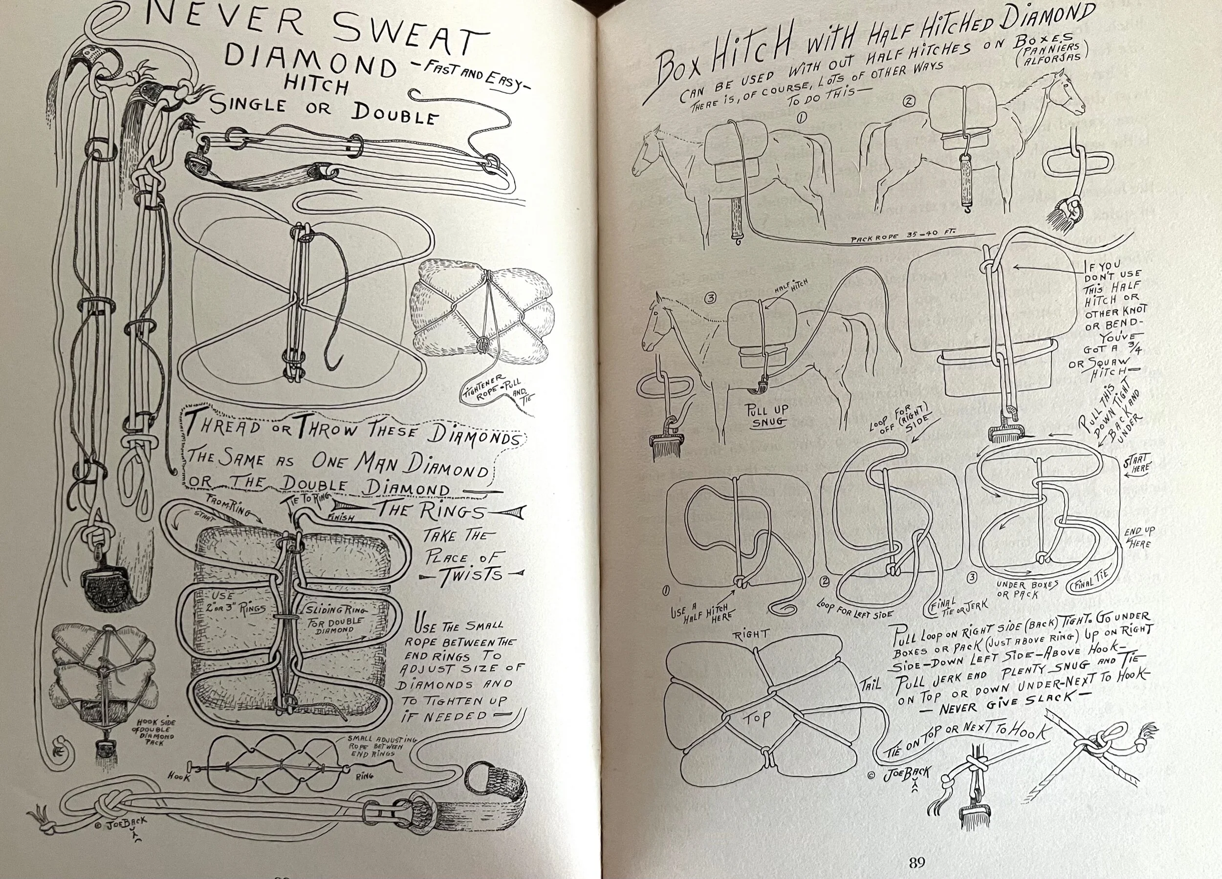 CA3F8ADC-0198-476D-8A7F-BA18EC3E7592