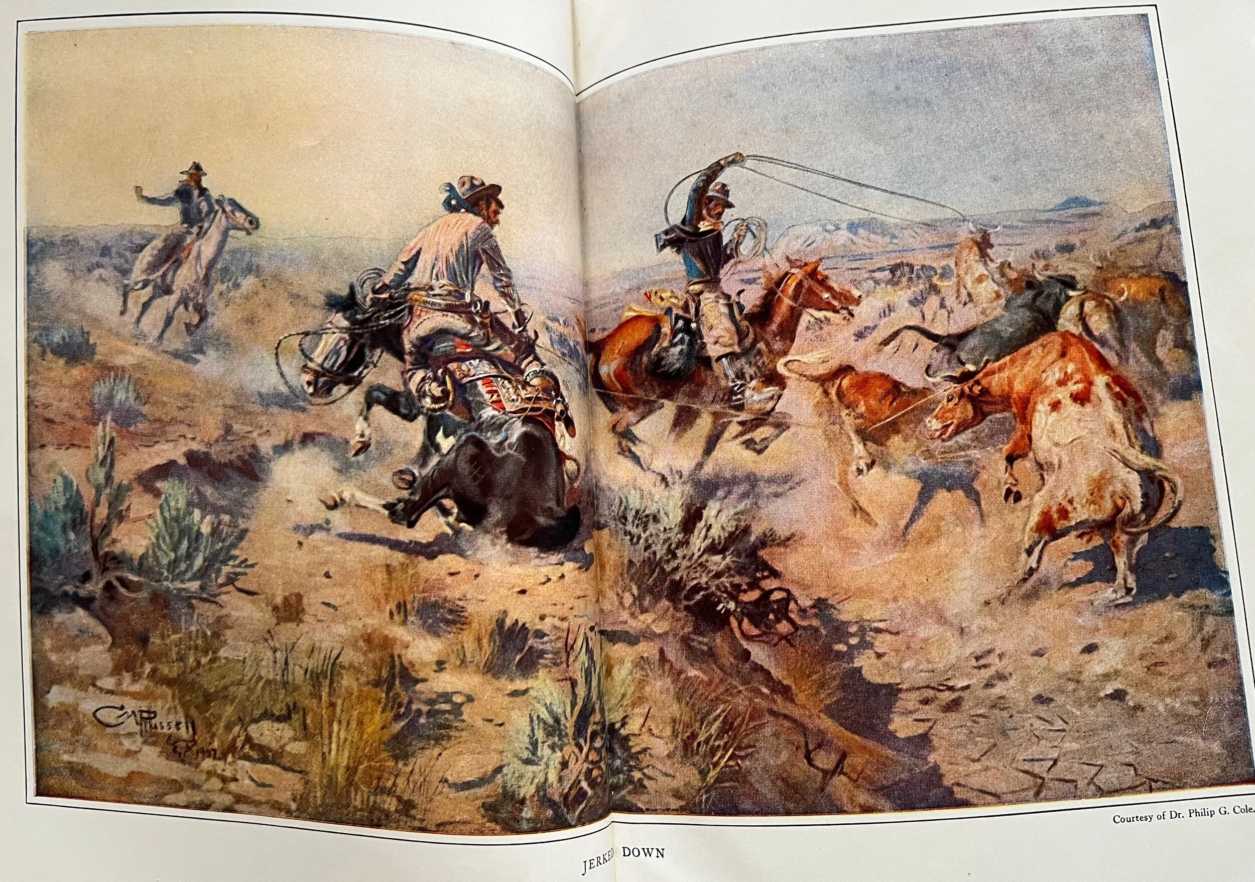 8400B18D-48E4-4681-84AB-C5BF36989AEE