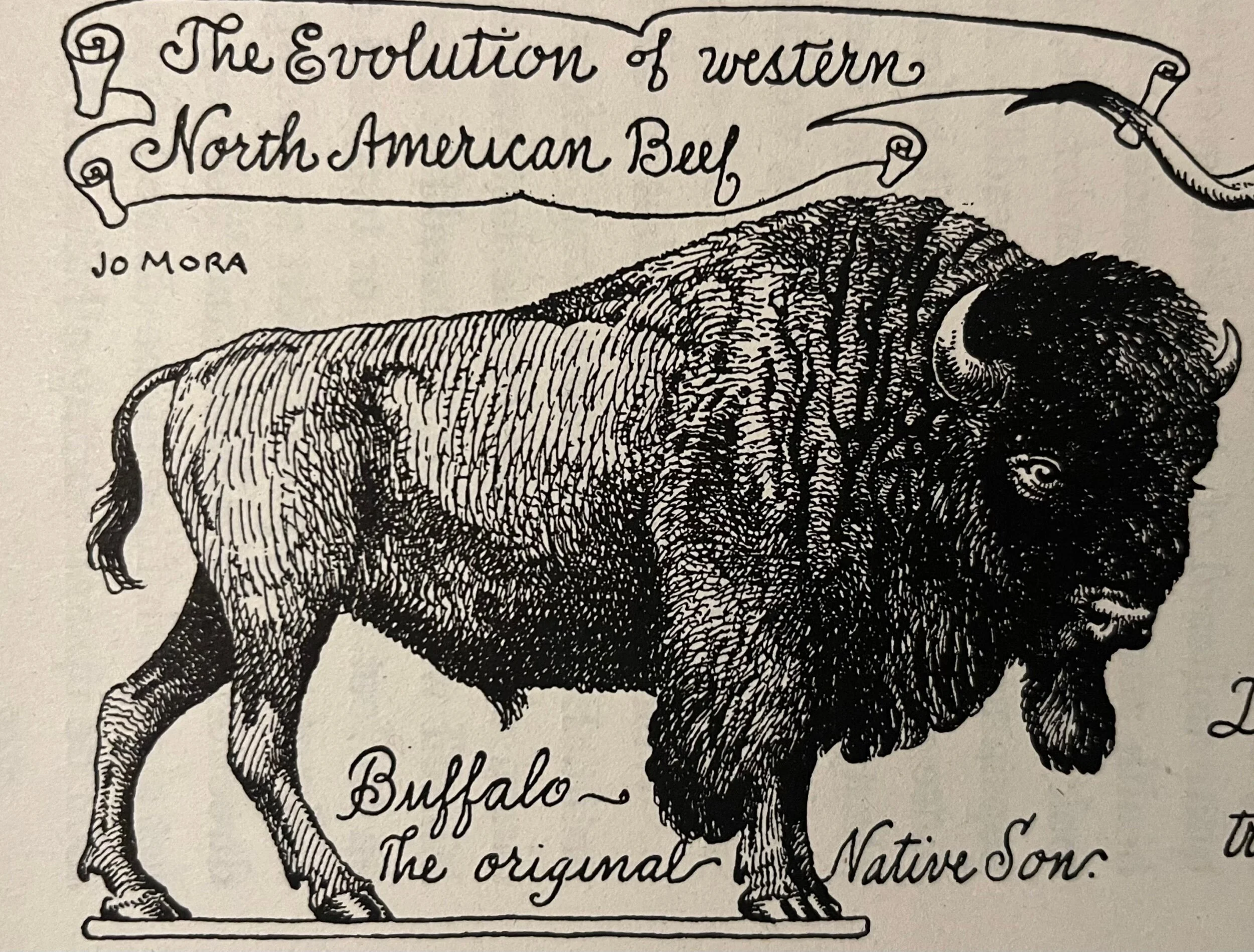 4DA2262B-0AEE-46FD-903A-98957E1DD5D5