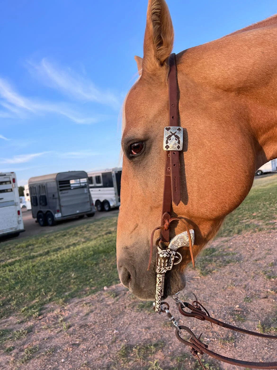 08016C49-2A2A-4D93-A419-D8B758A83D67