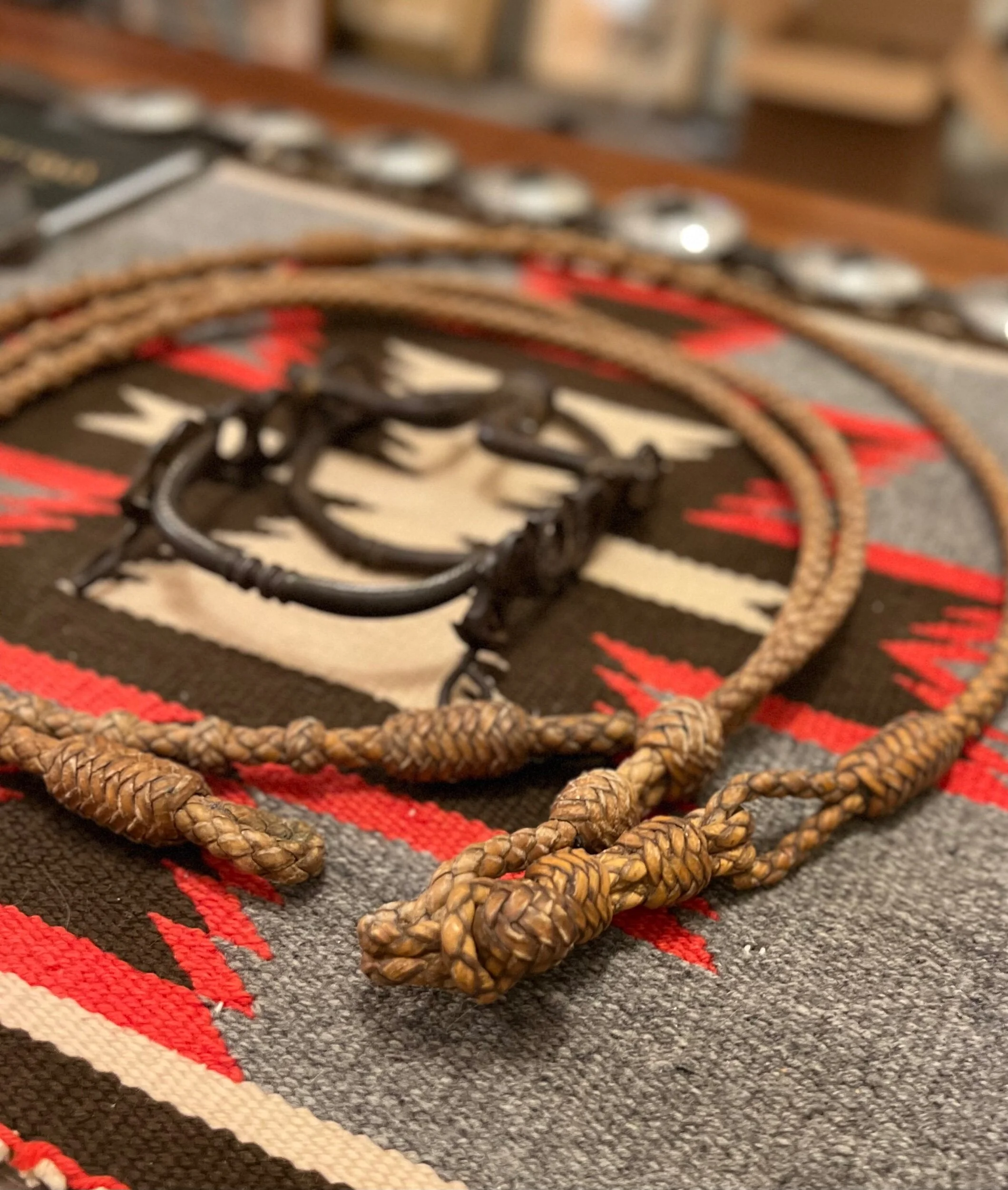 10ECDF1C-F974-4055-952D-ECE46EB7B11A