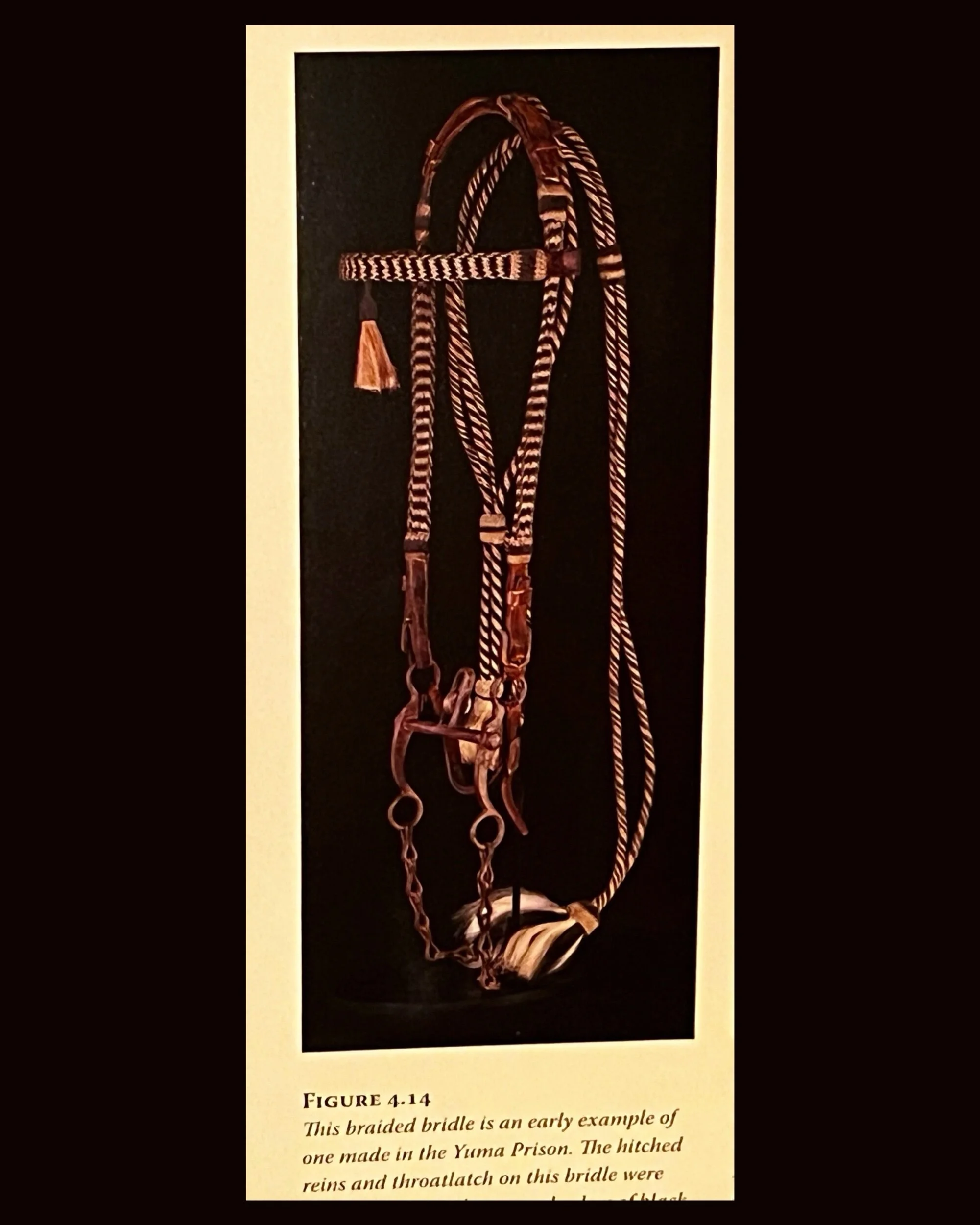 86DC1ED6-768F-4387-B0EA-FE30B88A55B1