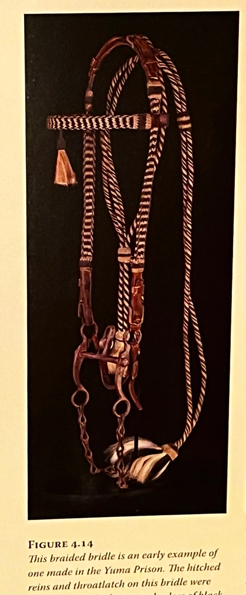 A4242064-AD7D-48D0-A01E-E7E0D36DC2A9