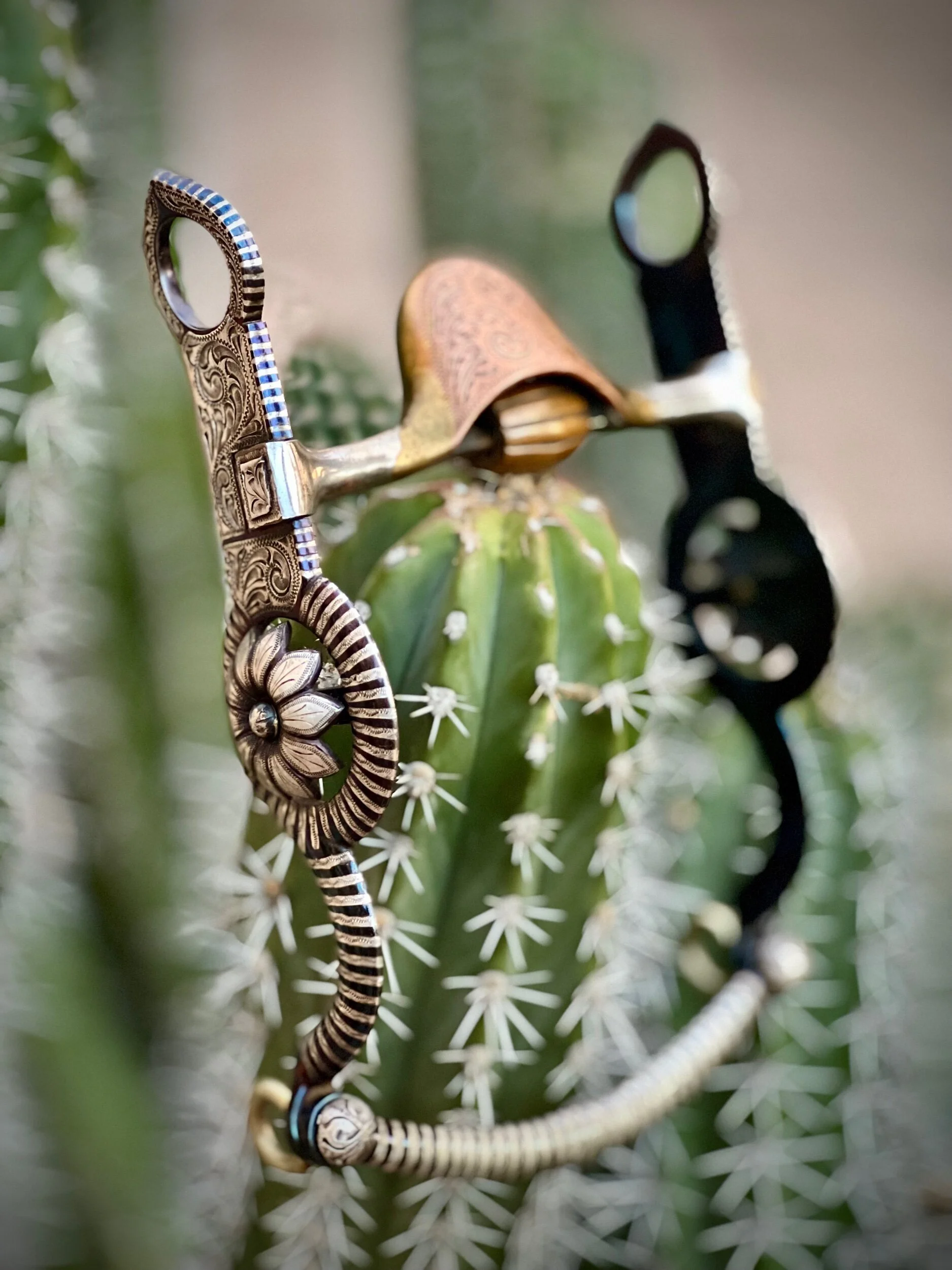 04D2B527-73E1-4F6B-A6B8-364E05350A7A