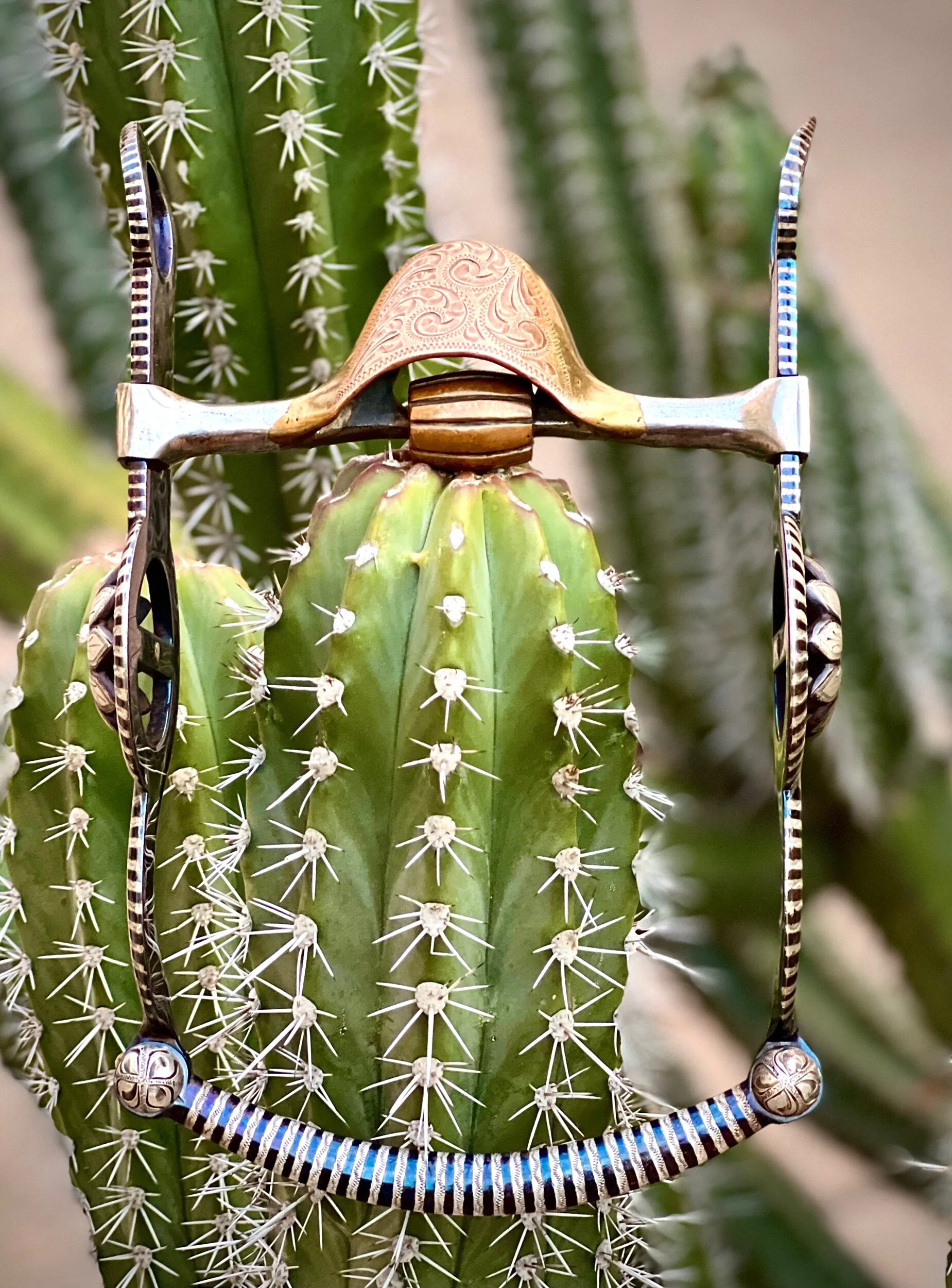 2AA9EA7C-5035-4E21-AFB2-9B152B493D3F