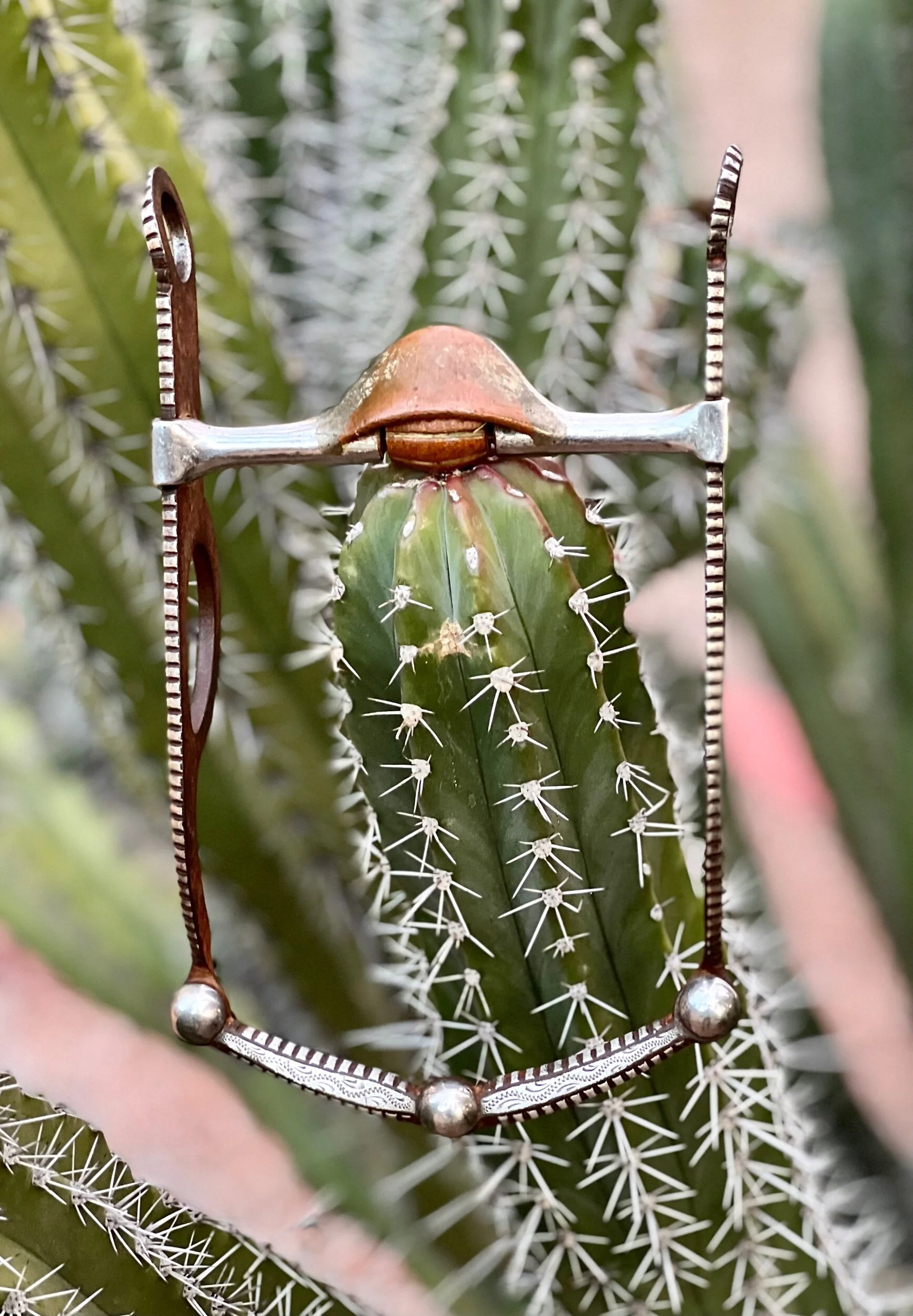 828E18B8-528B-4871-98B4-AEBD0A34E28C