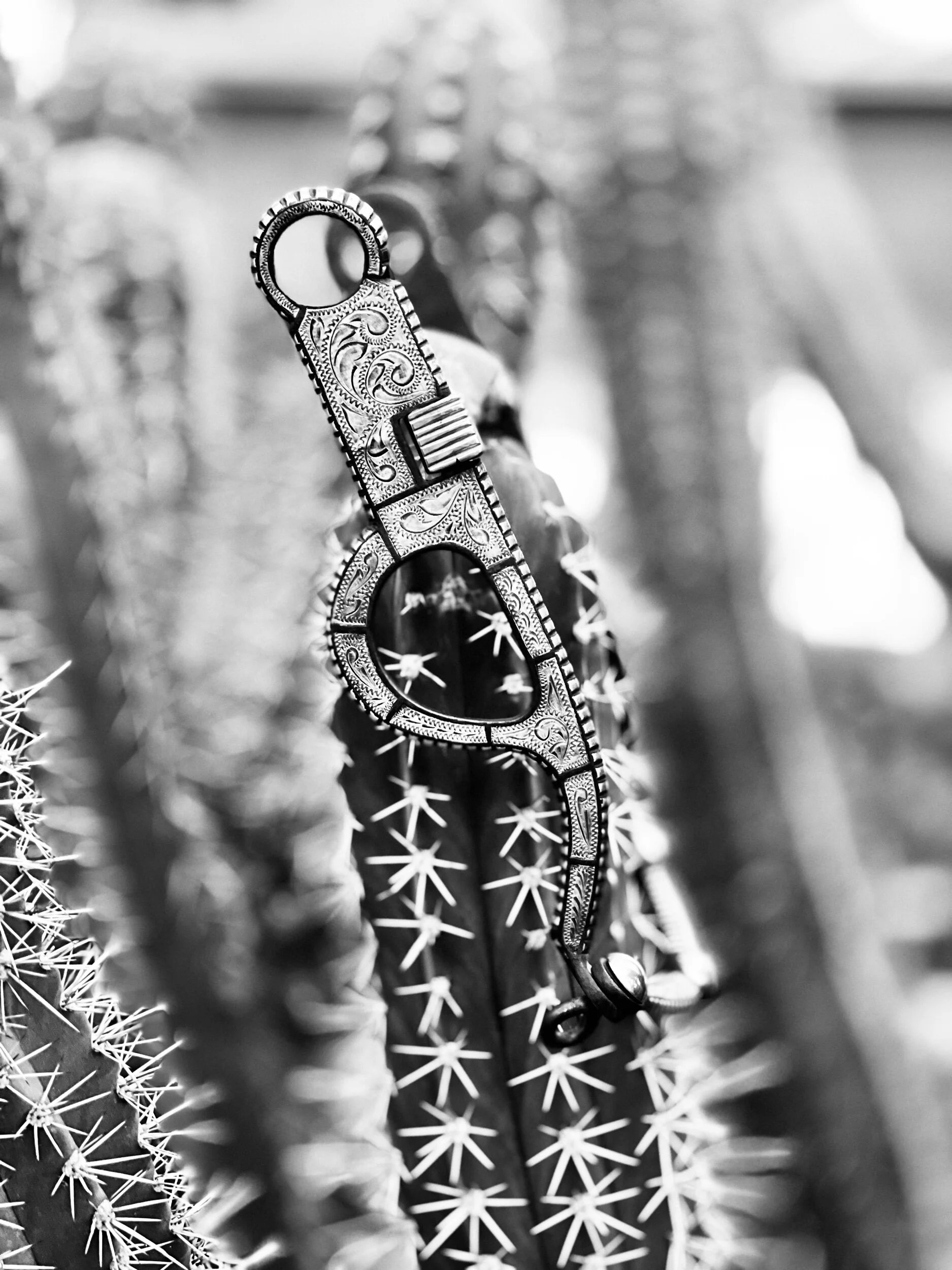 BC729AE6-253B-4913-9E1F-AD89457BCE2F