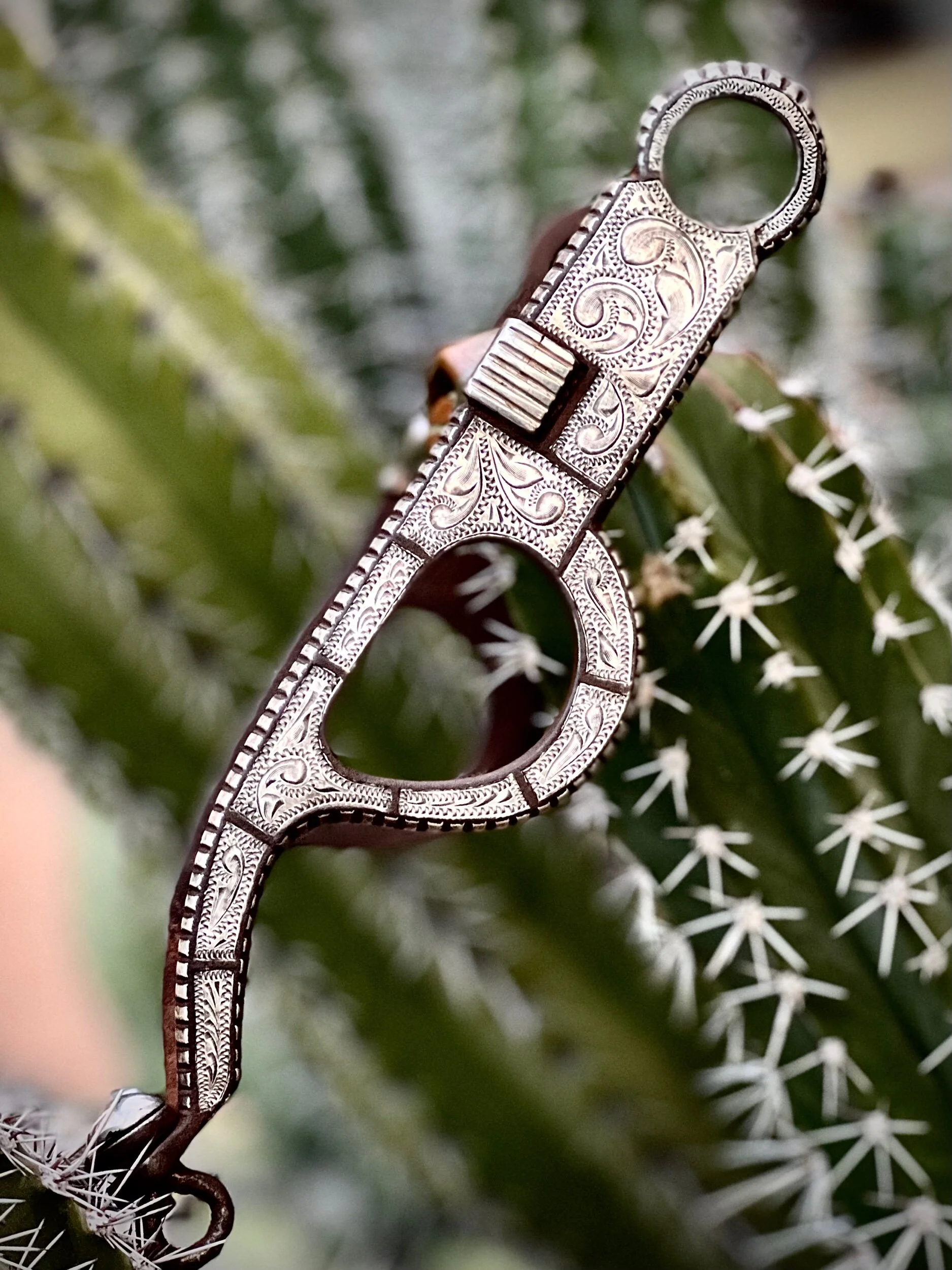 0667054D-0D04-458B-B53B-4F3760A3F421