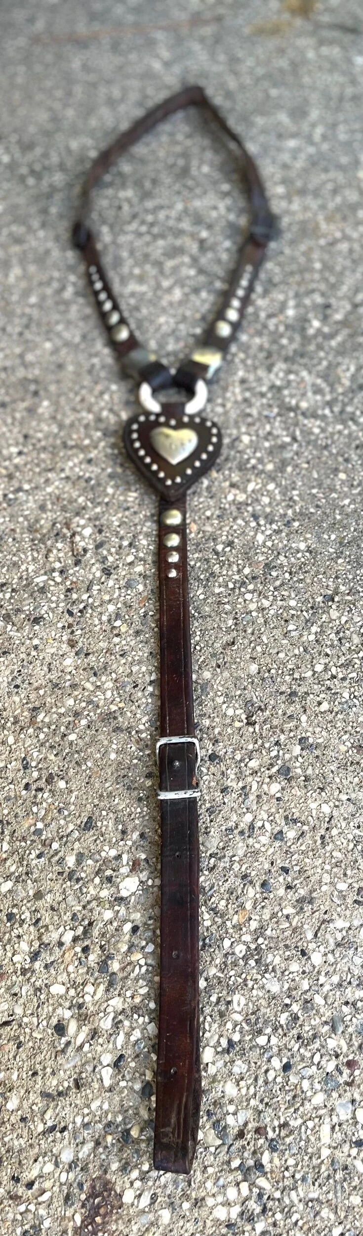 EA3A958C-FE20-48B5-B65B-7675DB29B4DA