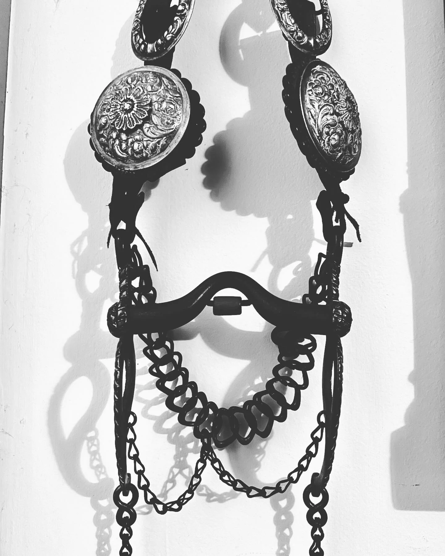 7506F037-DA21-441E-9C16-11ED80A3EA55