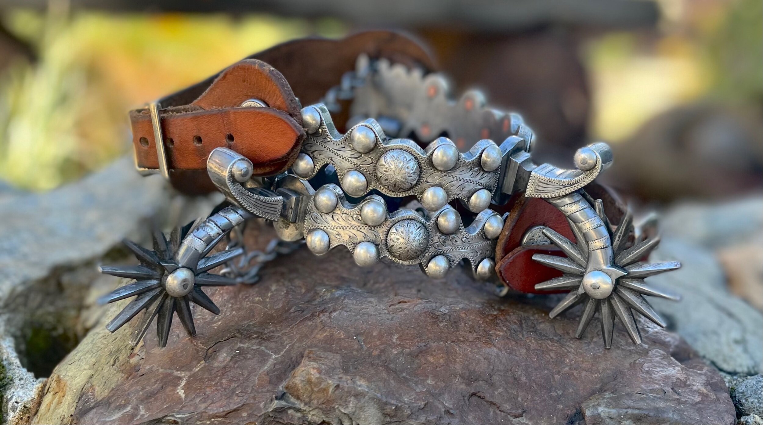 30F3D29F-CE21-4934-8791-ED764A973F8C