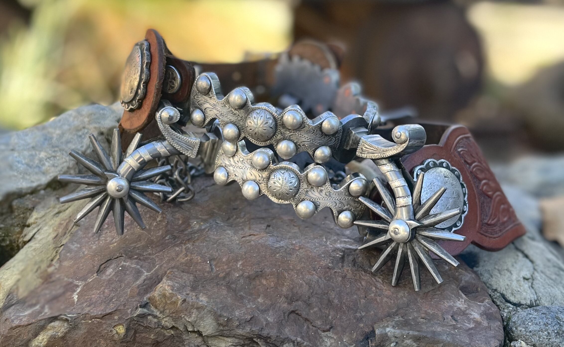 946E582A-6B34-495B-93FC-D744325CF00E