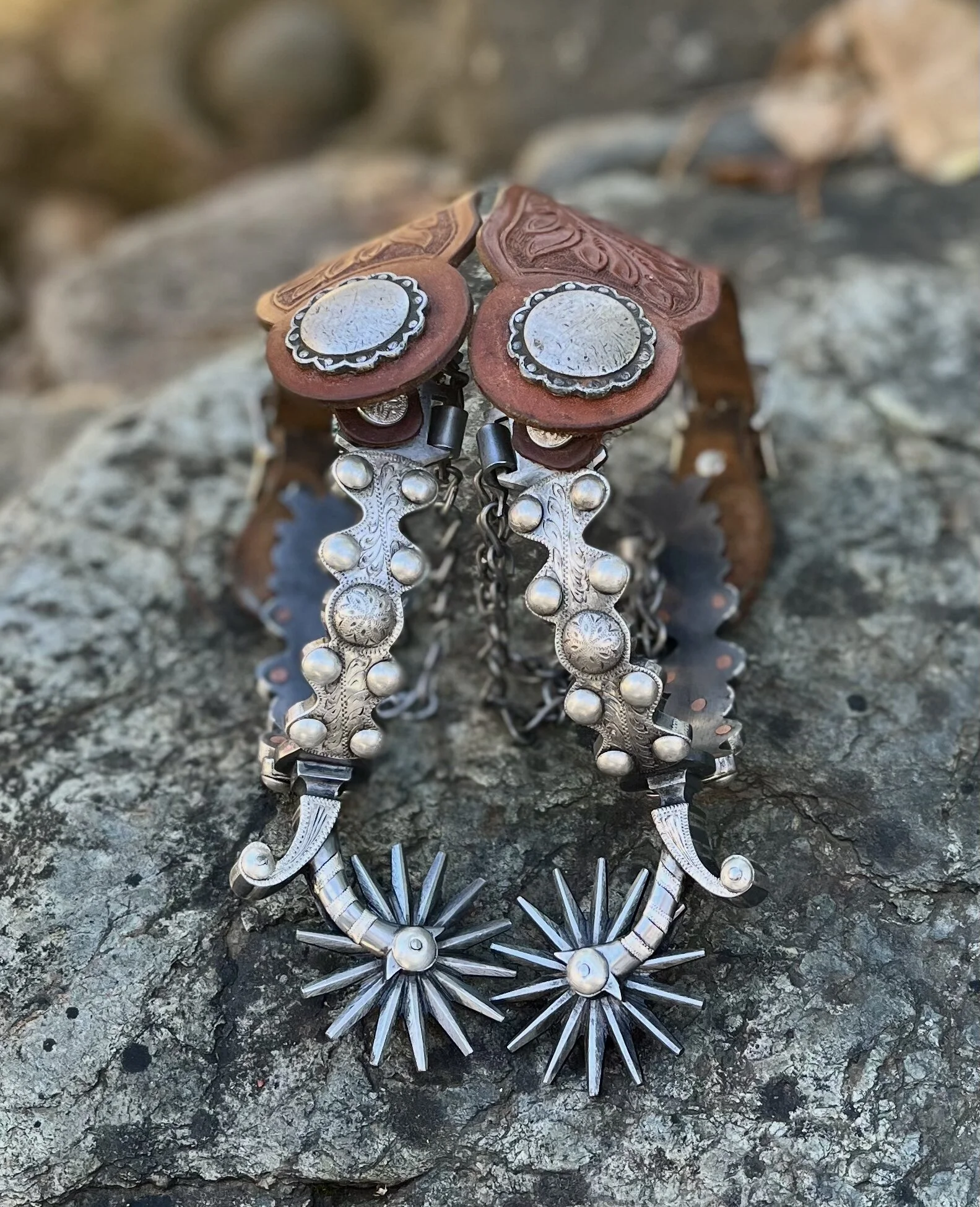 634B5727-DE9B-400E-91A6-E08E8AC45435