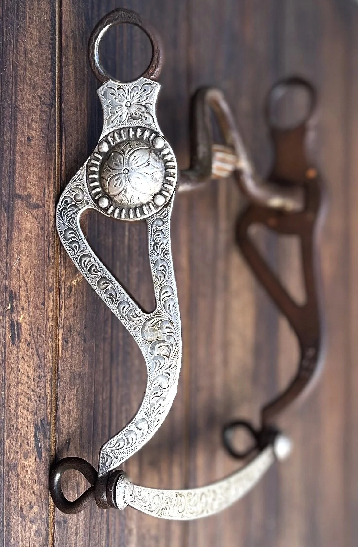 AB17AAED-C73F-463E-9BB8-CE1E82BF9ADF