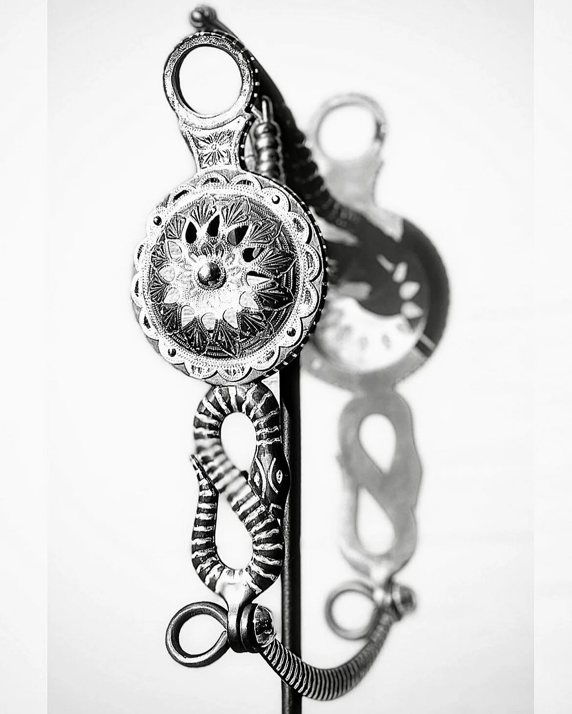 Snake bit with Tapia style conchos