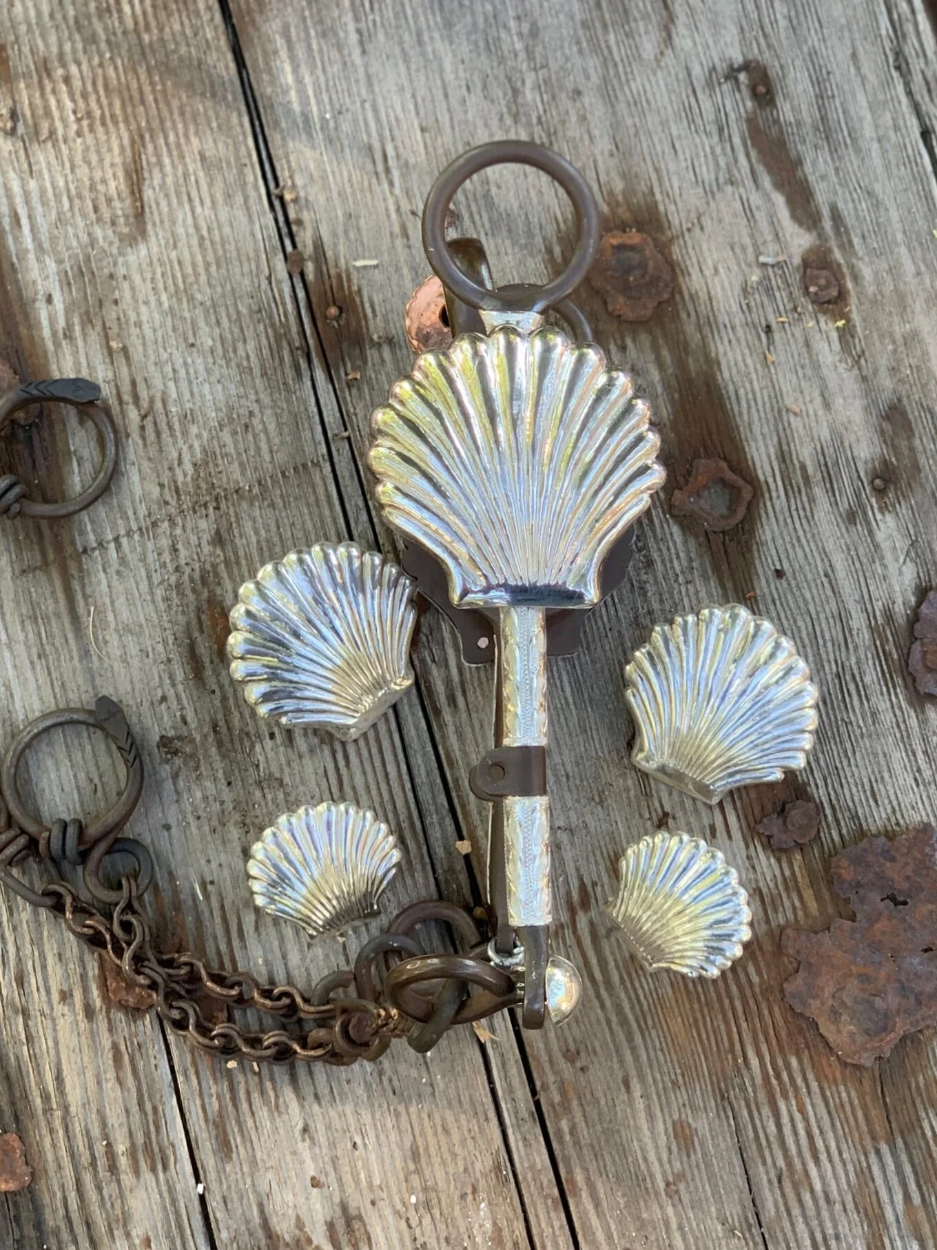 Las Conchas Seashell bit